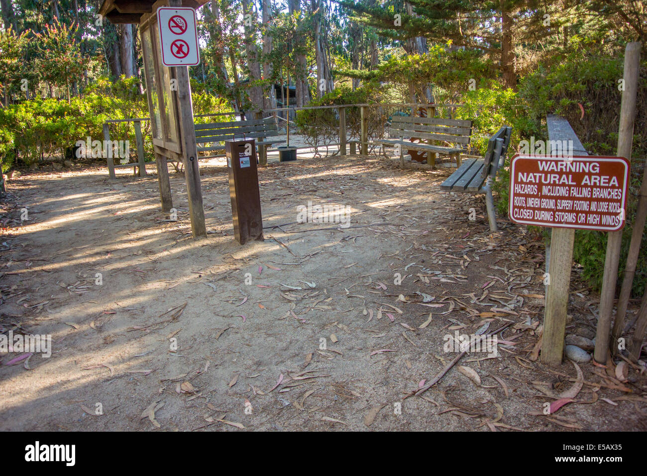 Pacific grove tsunami