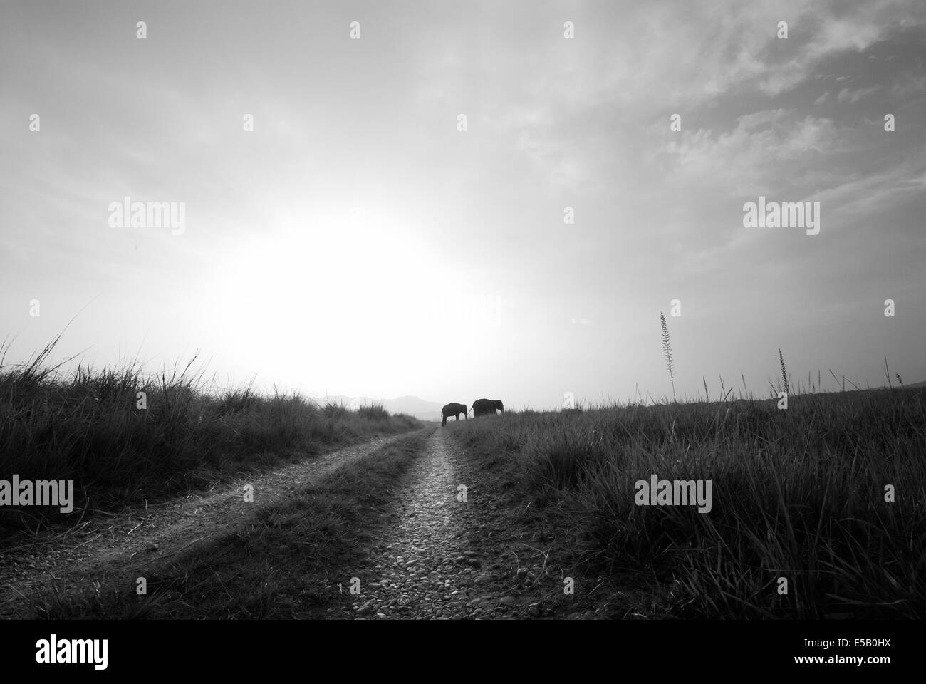 Beauty journey Black and White Stock Photos & Images - Alamy