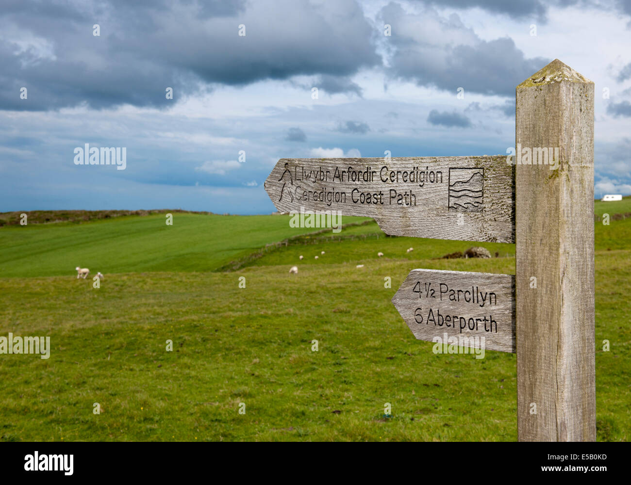 Finger-post sign for the Ceredigion Coast Path at Mwnt, Ceredigion, Wales, UK. Stock Photo