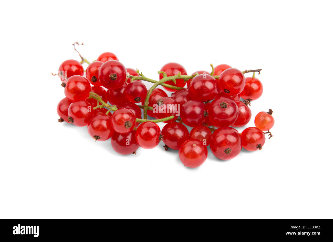 Bunch of red currants on a white background Stock Photo