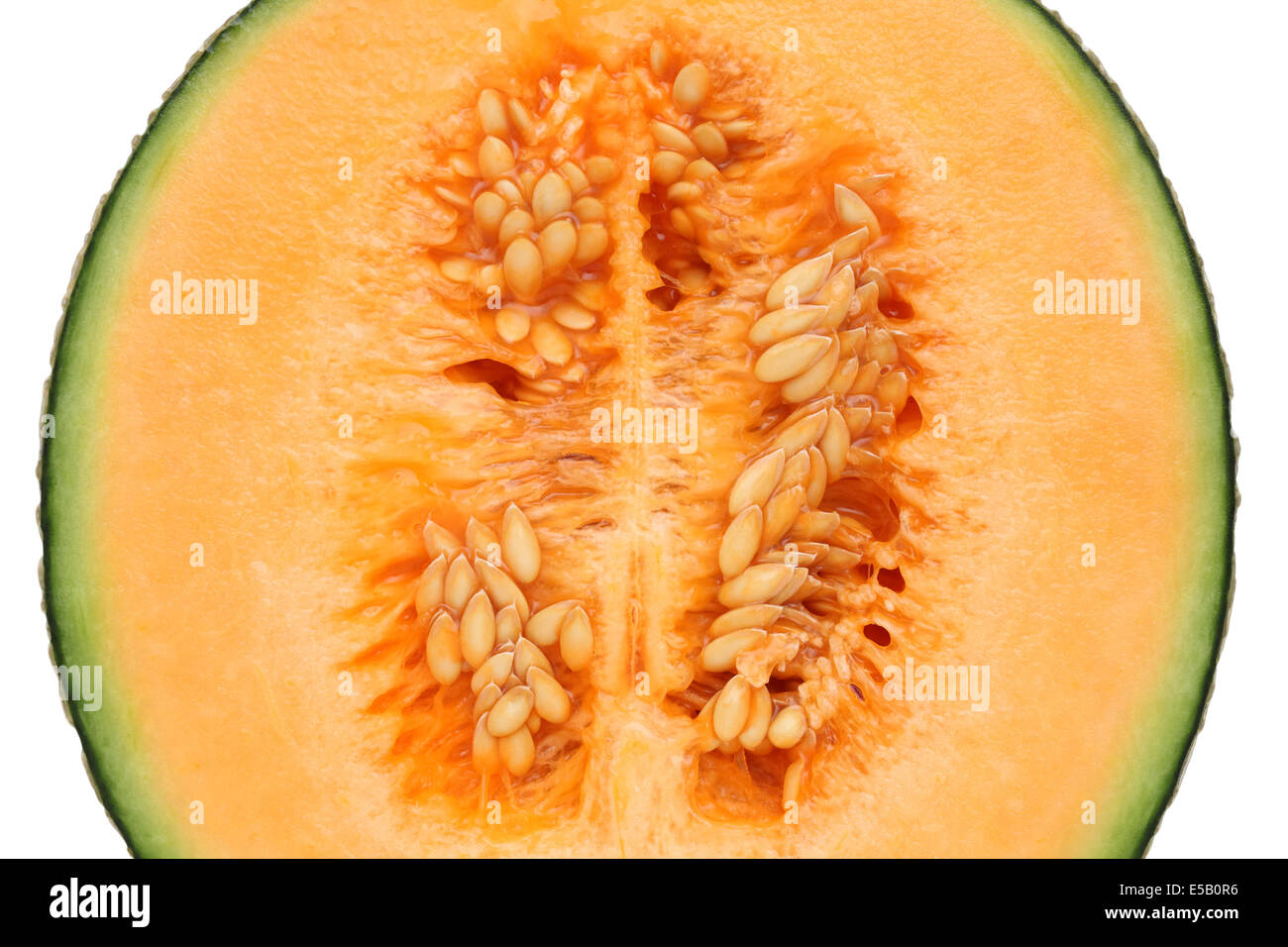 Cantelope Over Riped ripe cantaloupe melon Stock Photo - Alamy