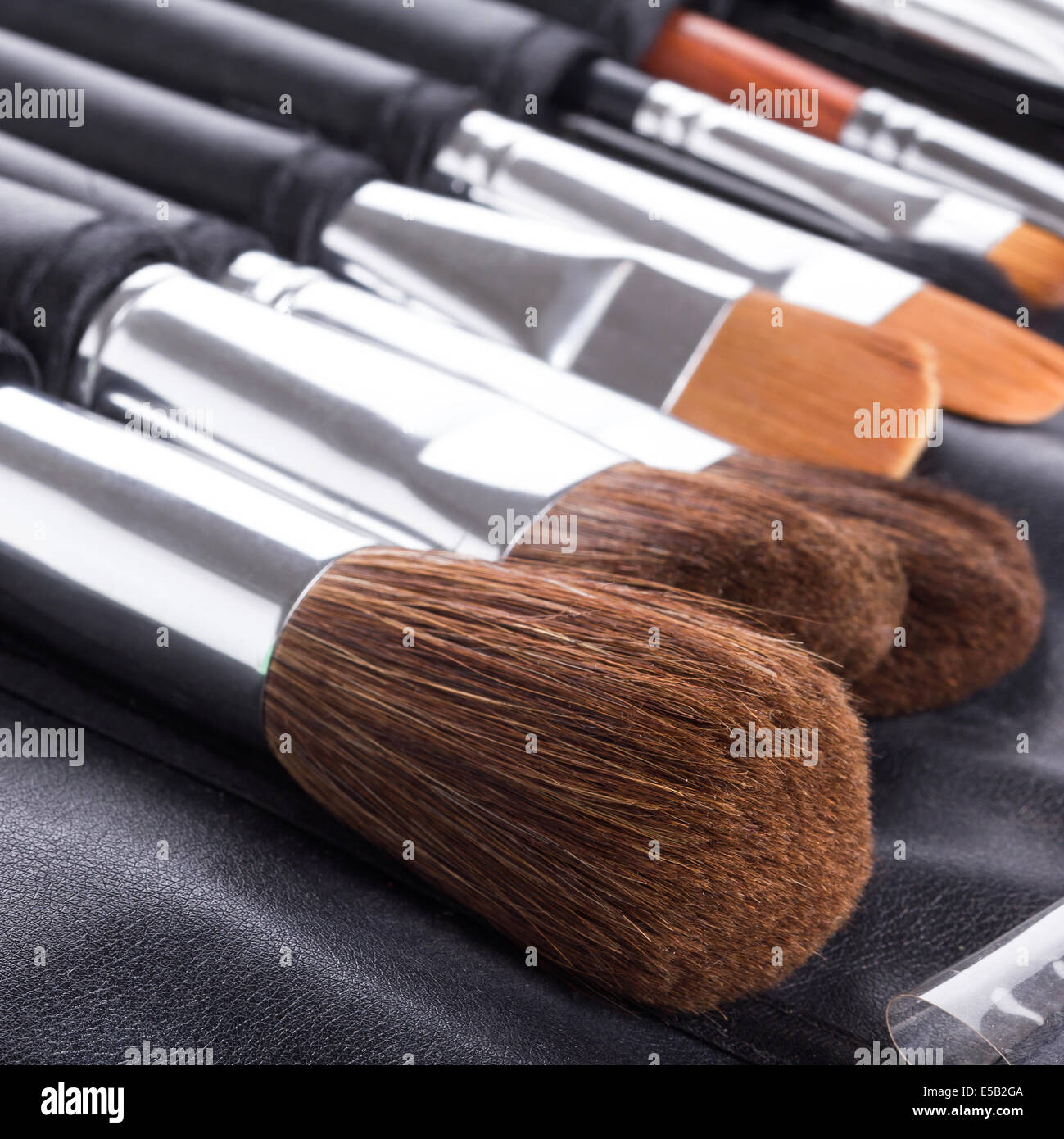 Set of professional makeup brushes in compact case Stock Photo