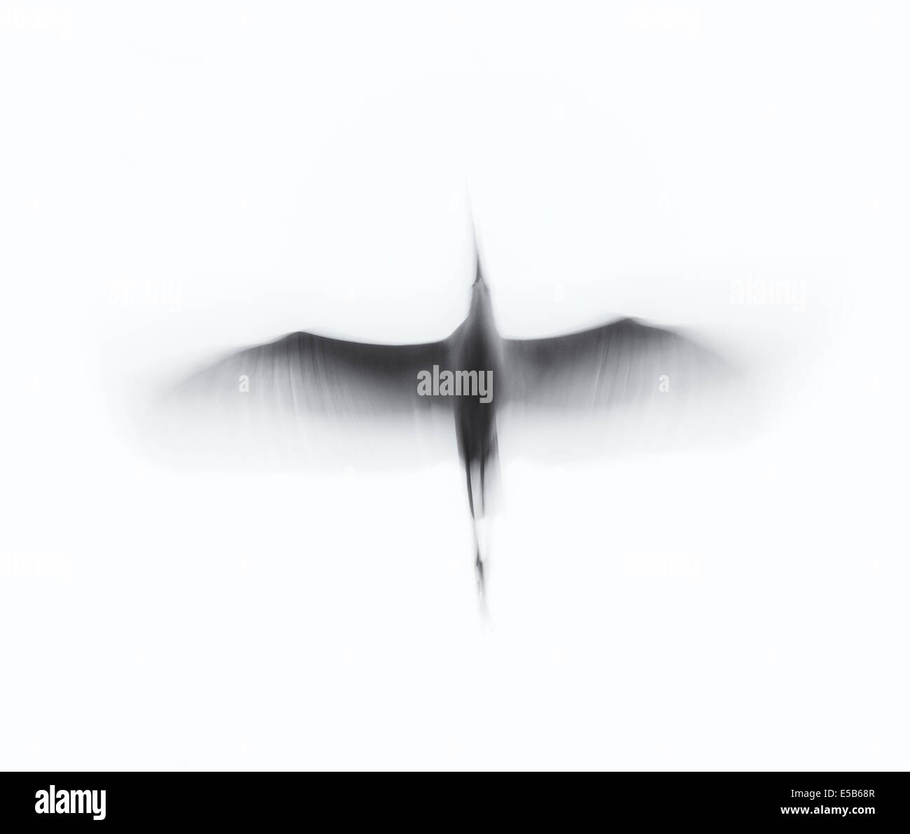 Black freedom art hi-res stock photography and images - Alamy