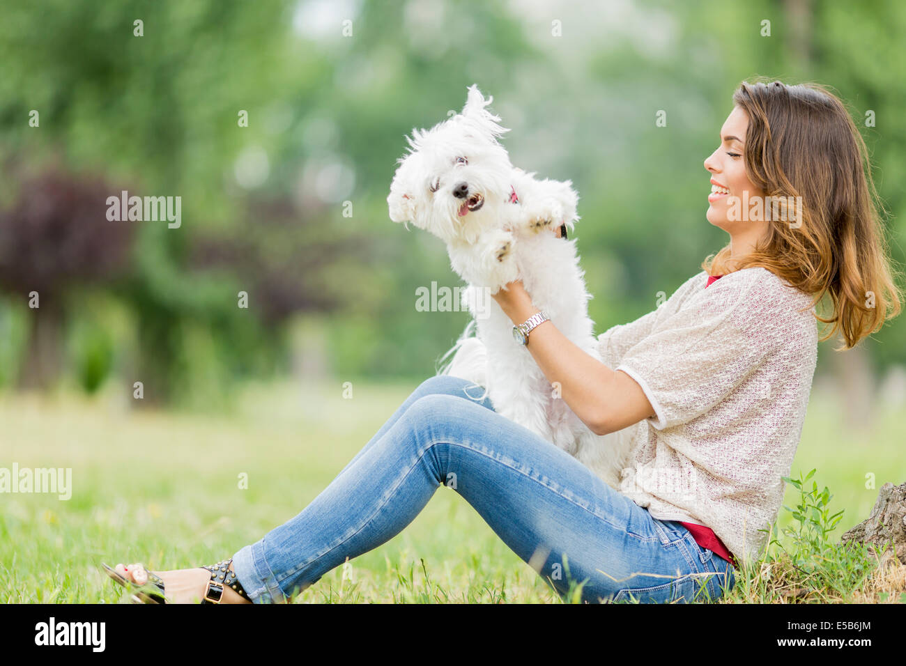 Young woman with a maltese dog Stock Photo