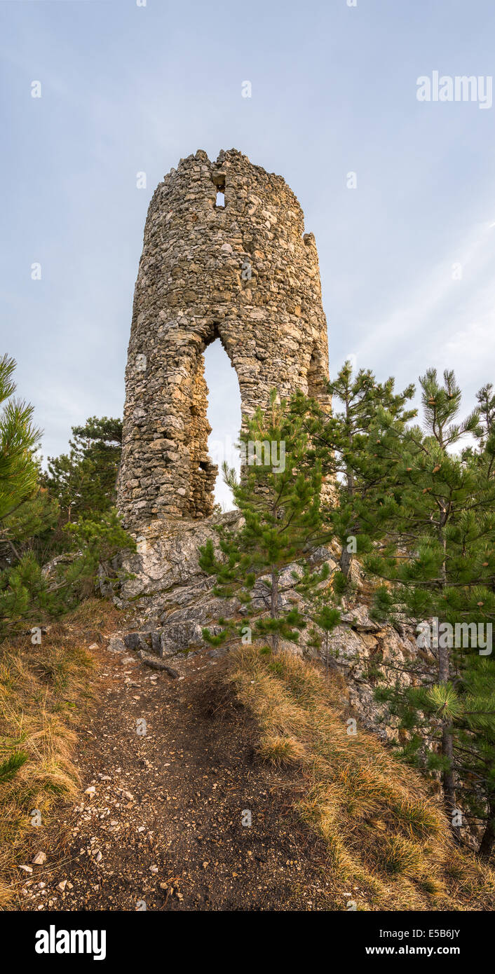 Ruins of a Castle on a Rock with Coniferous Trees Located in Nature Park Seebenstein-Turkensturz. Stock Photo