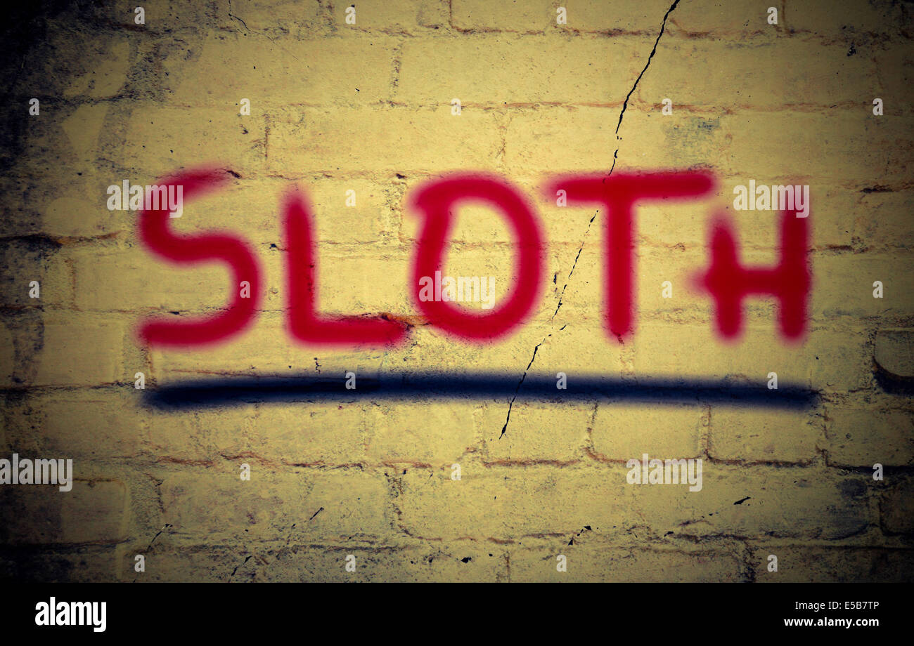 Sloth Sin Photography