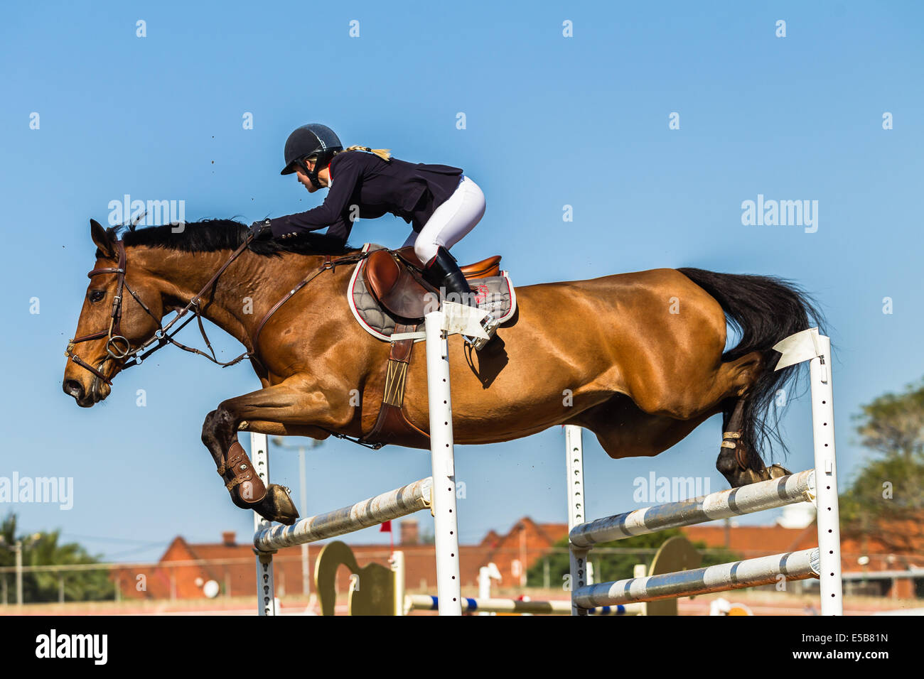 Horse rider jumping gate poles mid flight photo action equestrian show