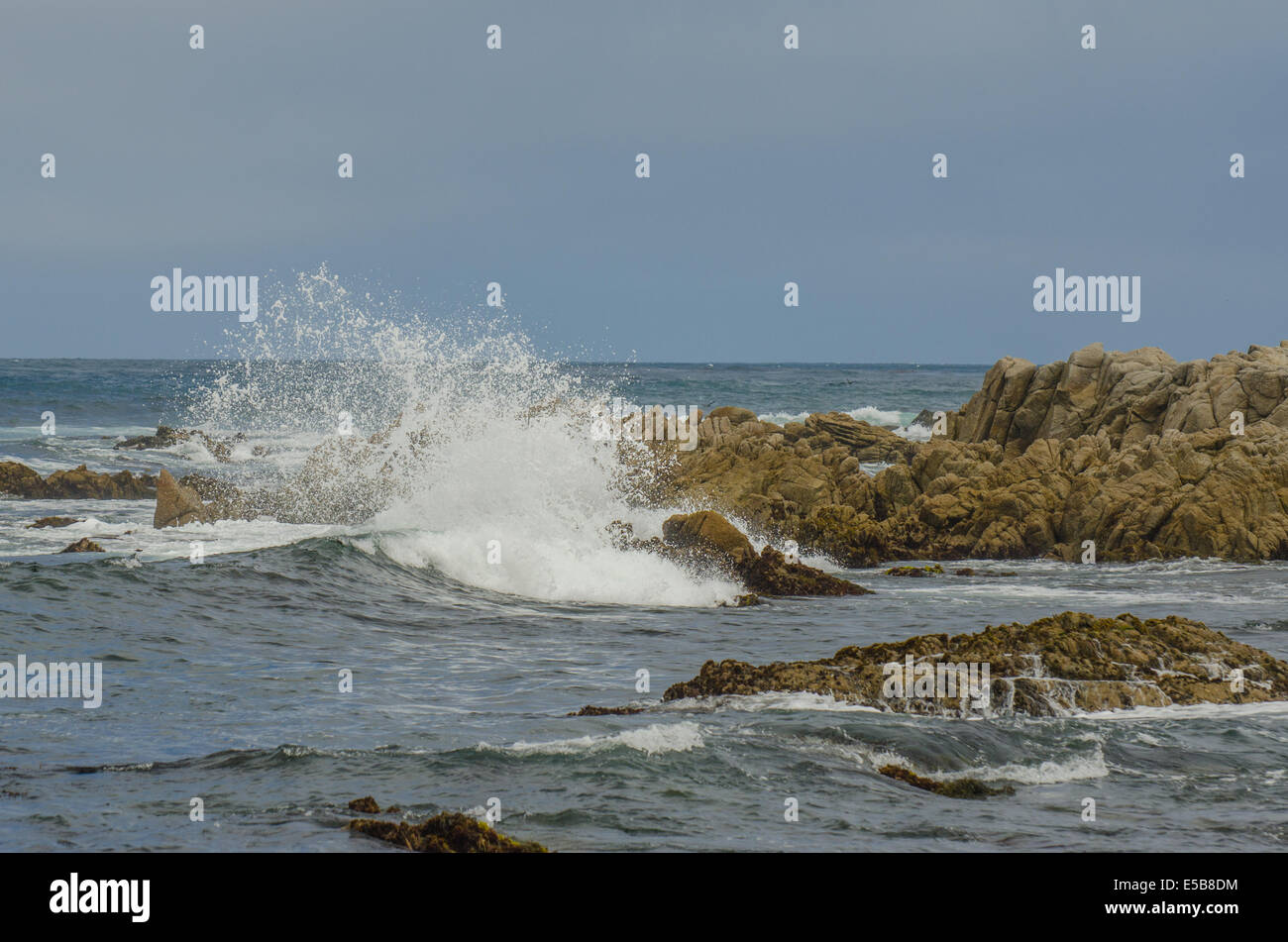Waves breaking on rocks, Asilomar beach, Monterey California Stock Photo