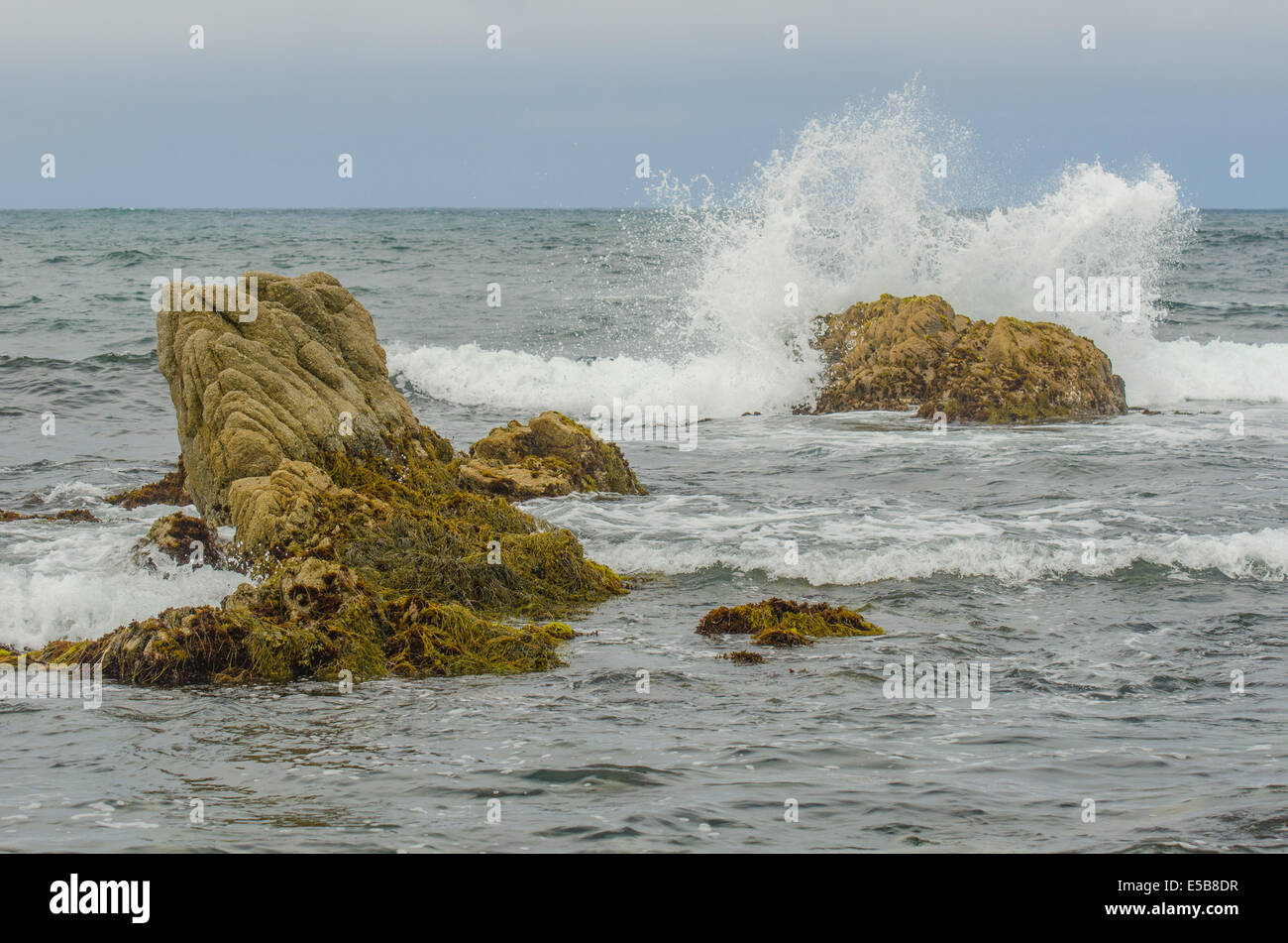 Waves breaking on rocks, Asilomar beach, Monterey California Stock Photo