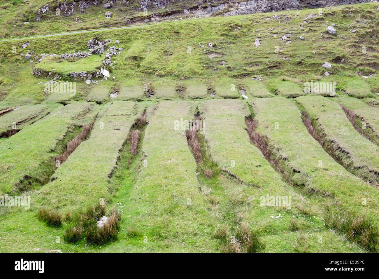 Old Croft farm showing abandoned 'lazy beds' ridge and furrow field cultivation for growing potatoes. Outer Hebrides Scotland UK Stock Photo