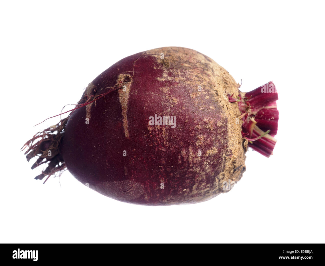 Beetroot cut out isolated on white background Stock Photo