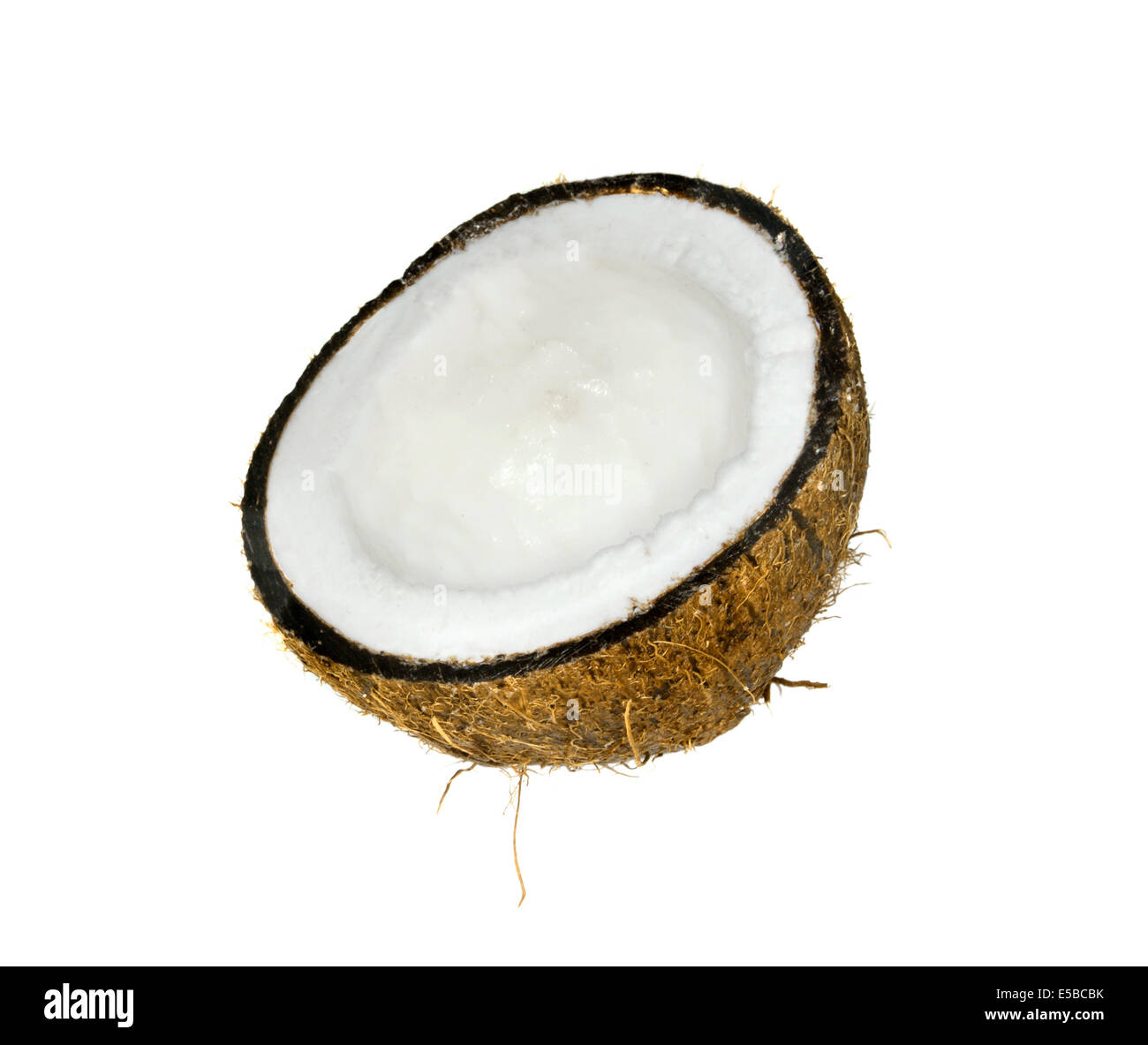 Coconut Half for garden bird table Stock Photo
