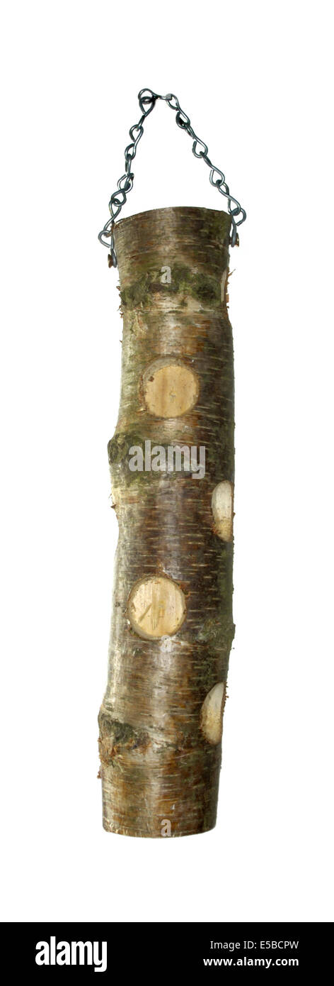 Wooden fat feeder for common garden birds Stock Photo