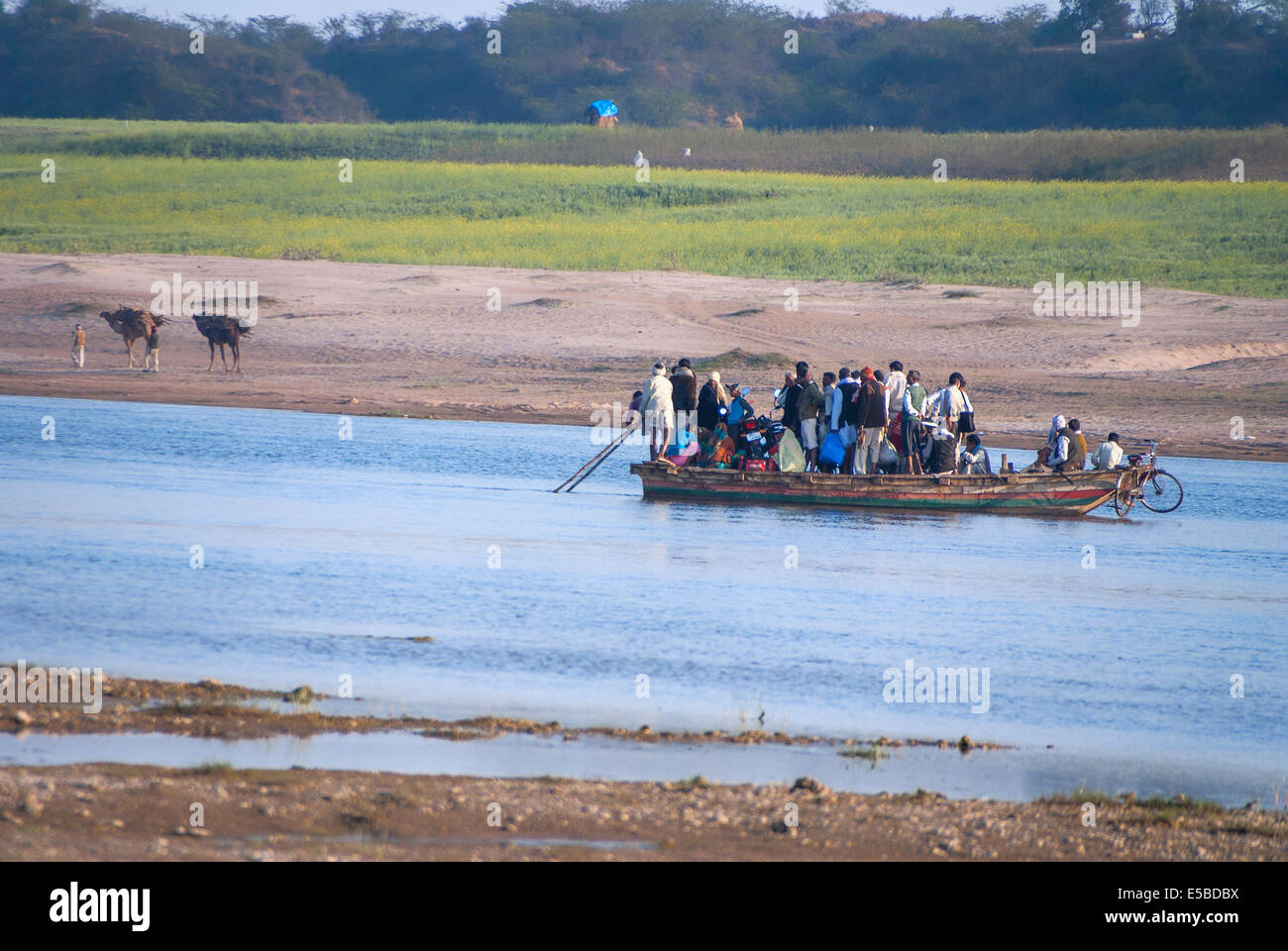 Ferry on Chambal River in India. Stock Photo