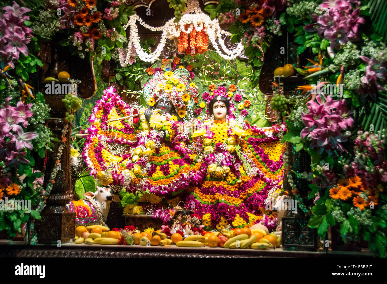 TORONTO, ONTARIO/CANADA - 28 August 2013 : People in large numbers celebrating krishna`s birthday in Iscon temple, Toronto Stock Photo