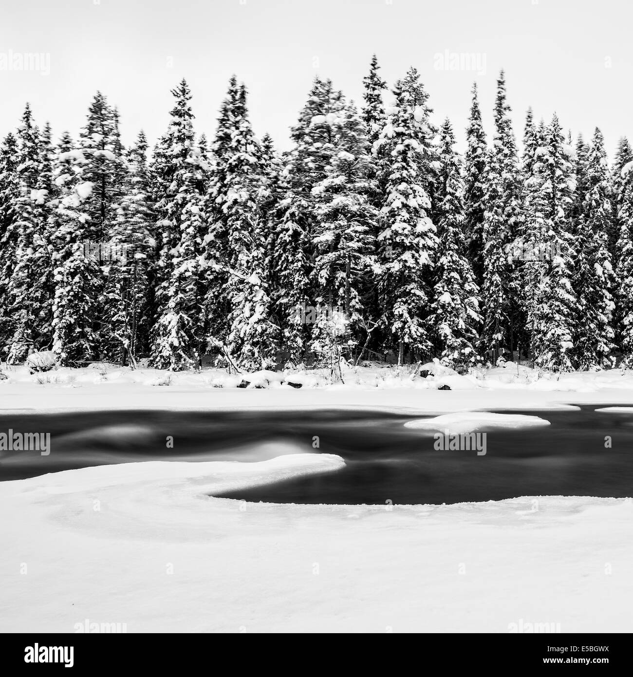 Frozen snow covered trees with river in winter Stock Photo