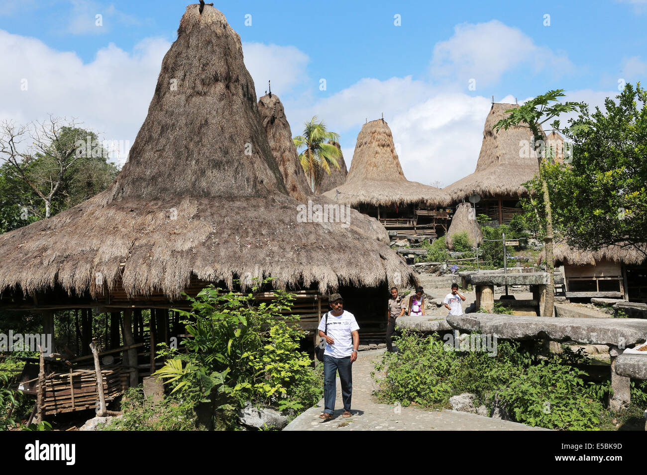 straw thatched houses of the traditional village Waitabar on the island of Sumba, Indonesia, Asia Stock Photo