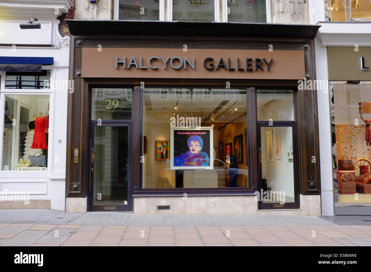 Halcyon gallery hi-res stock photography and images - Alamy