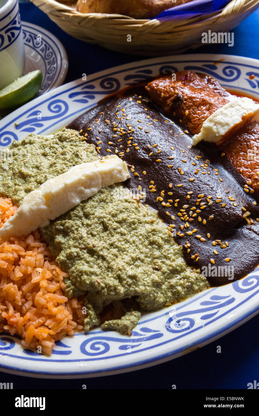 Mole Poblano over enchiladas along with other moles, pipian and adobo