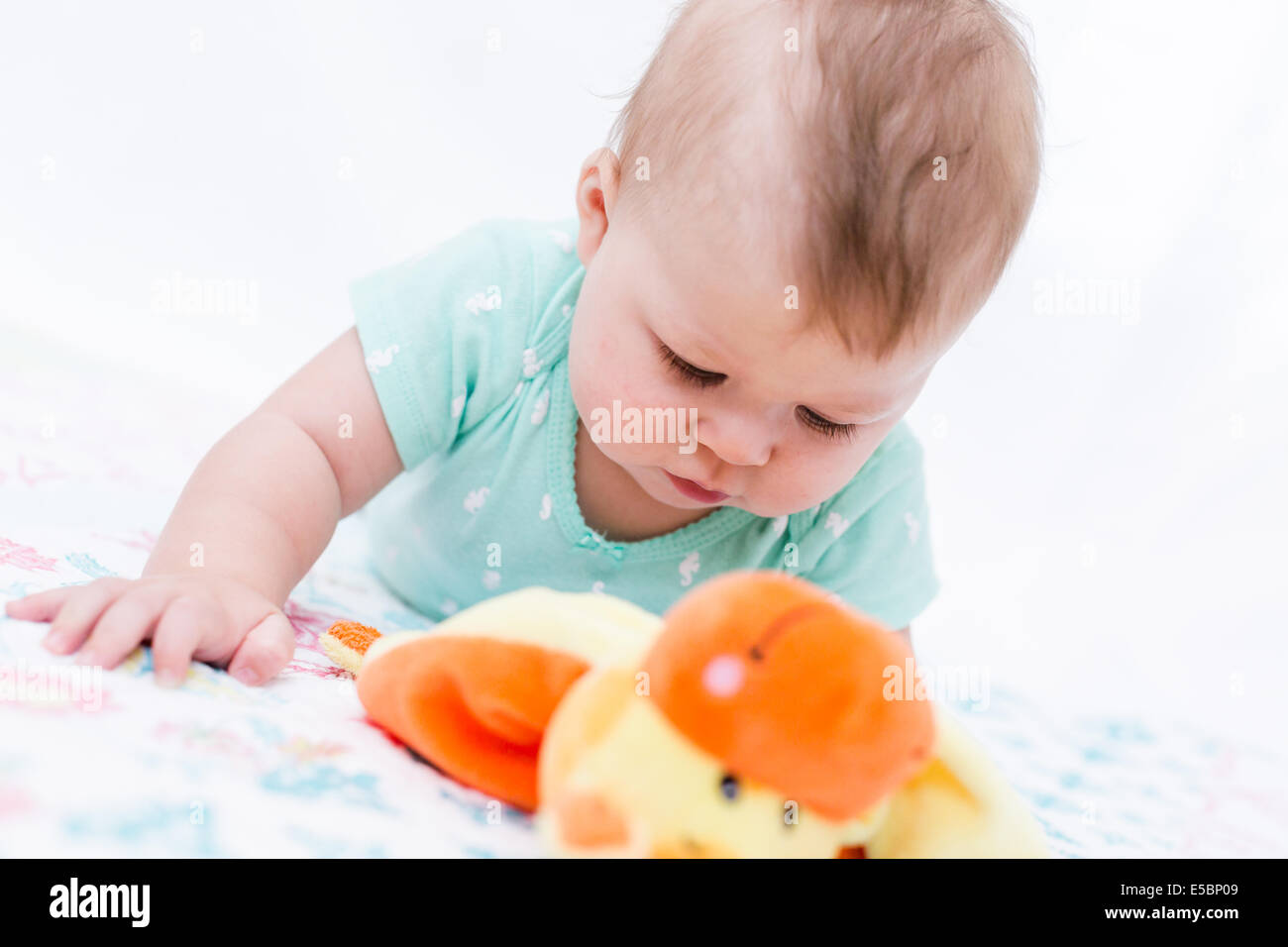 Cute baby girl playing with her toys on a blanket Stock Photo - Alamy