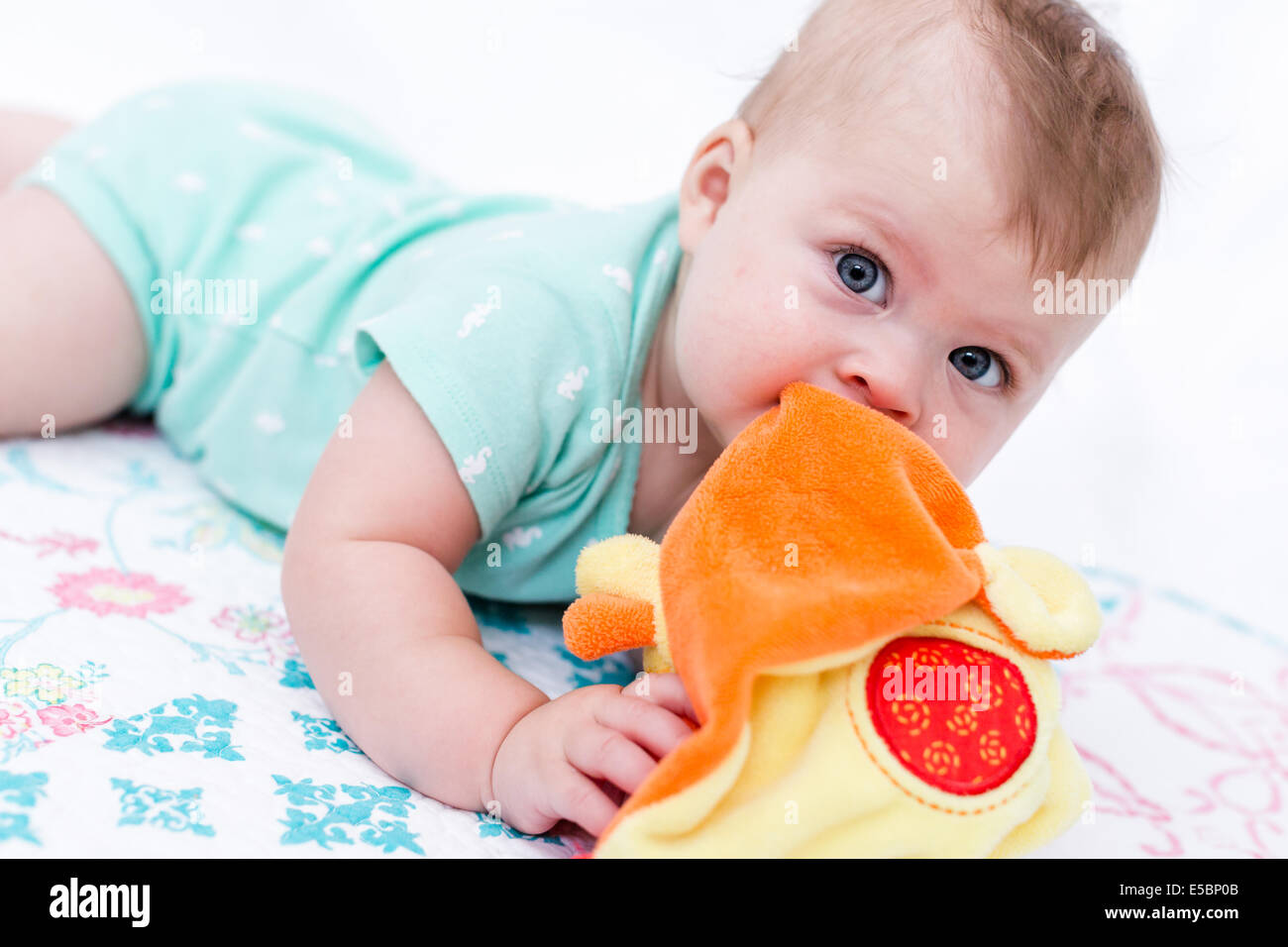 Cute baby girl playing with her toys on a blanket Stock Photo - Alamy