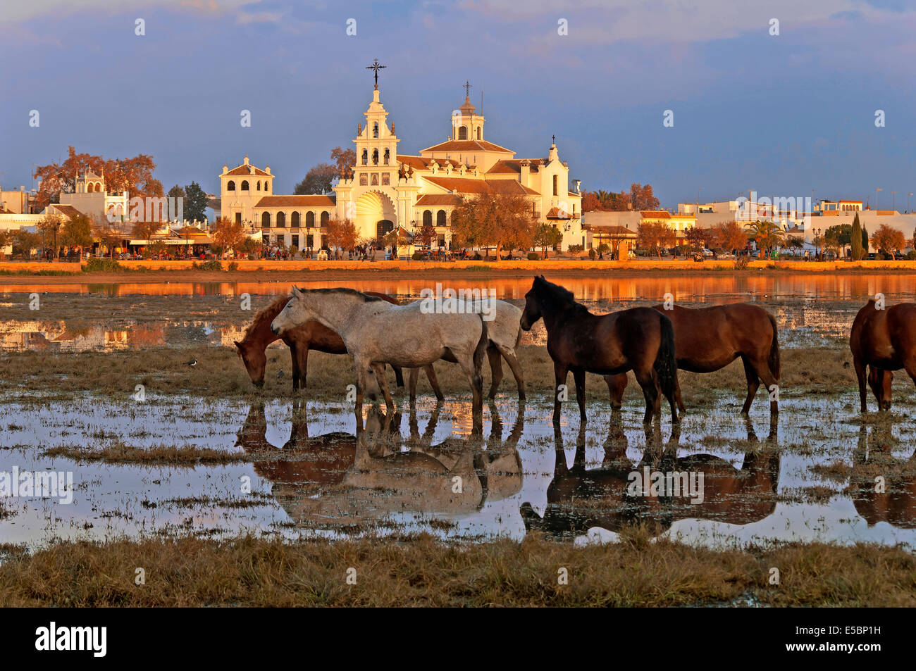 Village and Ermita del Rocio, Donana National Park, Almonte, Huelva