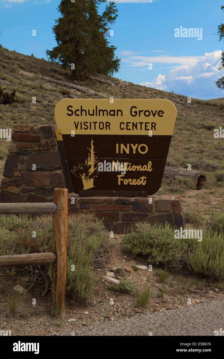 The Schulman Grove visitor center sign at the Ancient Bristlecone forest in the Inyo national forest Stock Photo