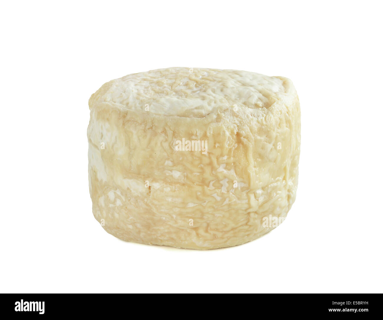 Buche de chevre goat milk cheese isolated on white background Stock