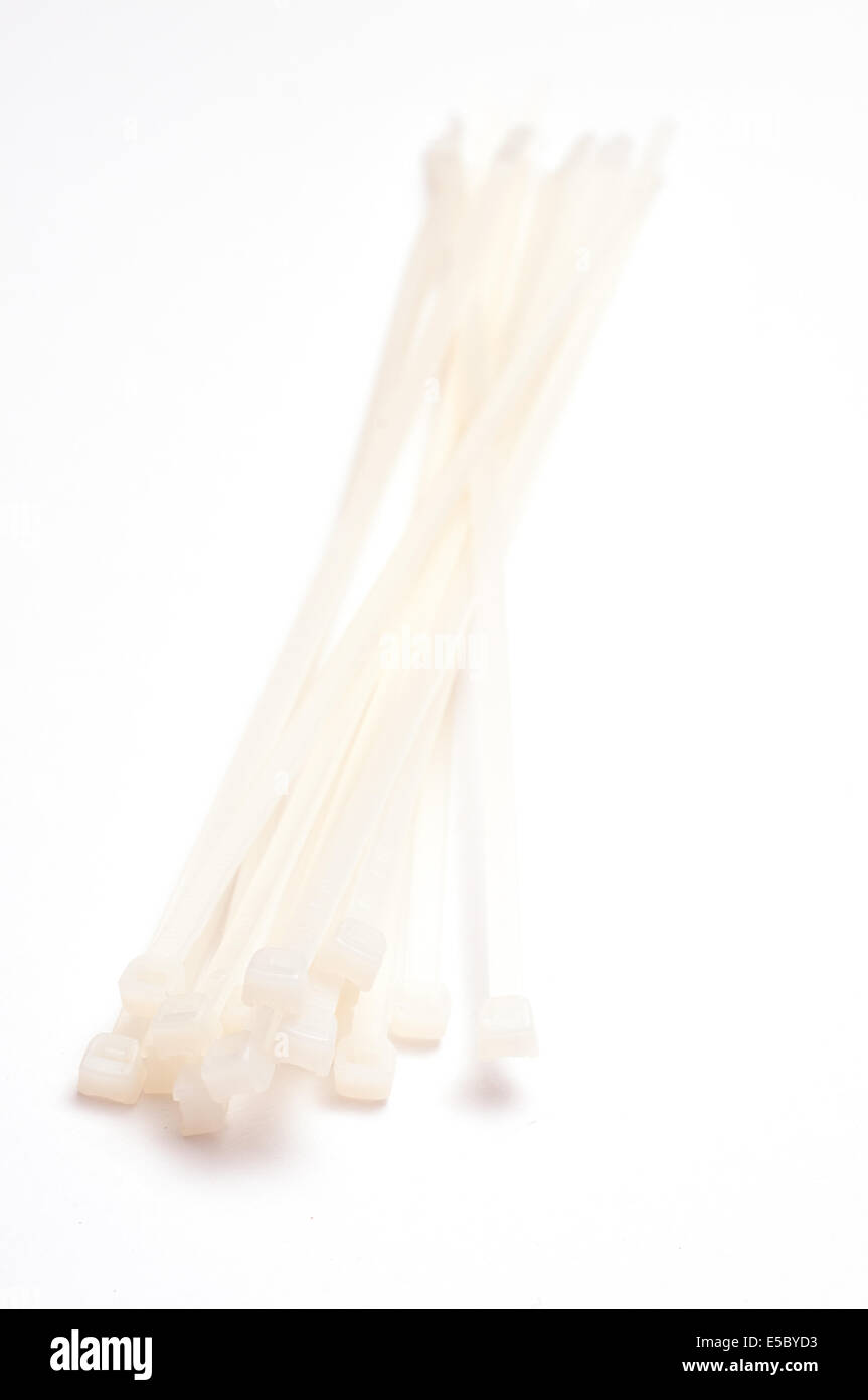 Cable eater in vertical format on white background Stock Photo