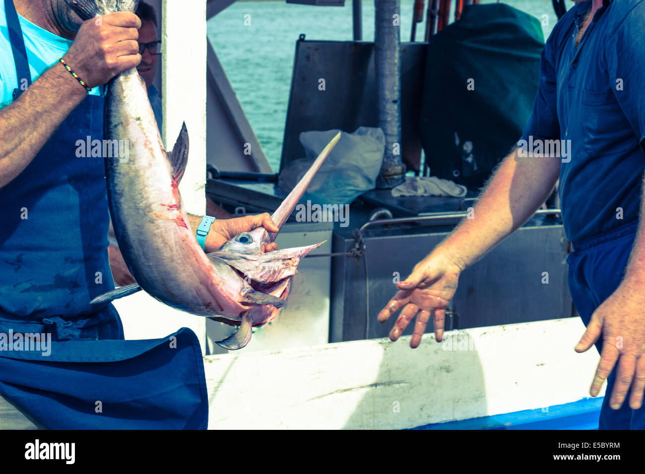 catch fresh swordfish big fish people fisherman 'industrial boat' 'fishing port' 'sea port' closeup Stock Photo