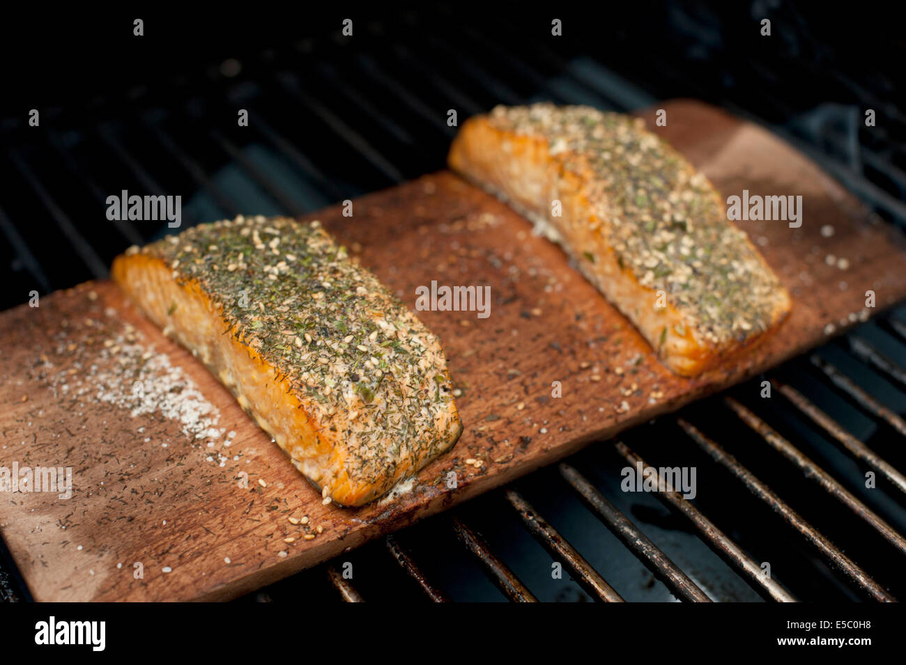 A pair of well seasoned wild Alaskan salmon fillets on a cedar plank being grilled Stock Photo