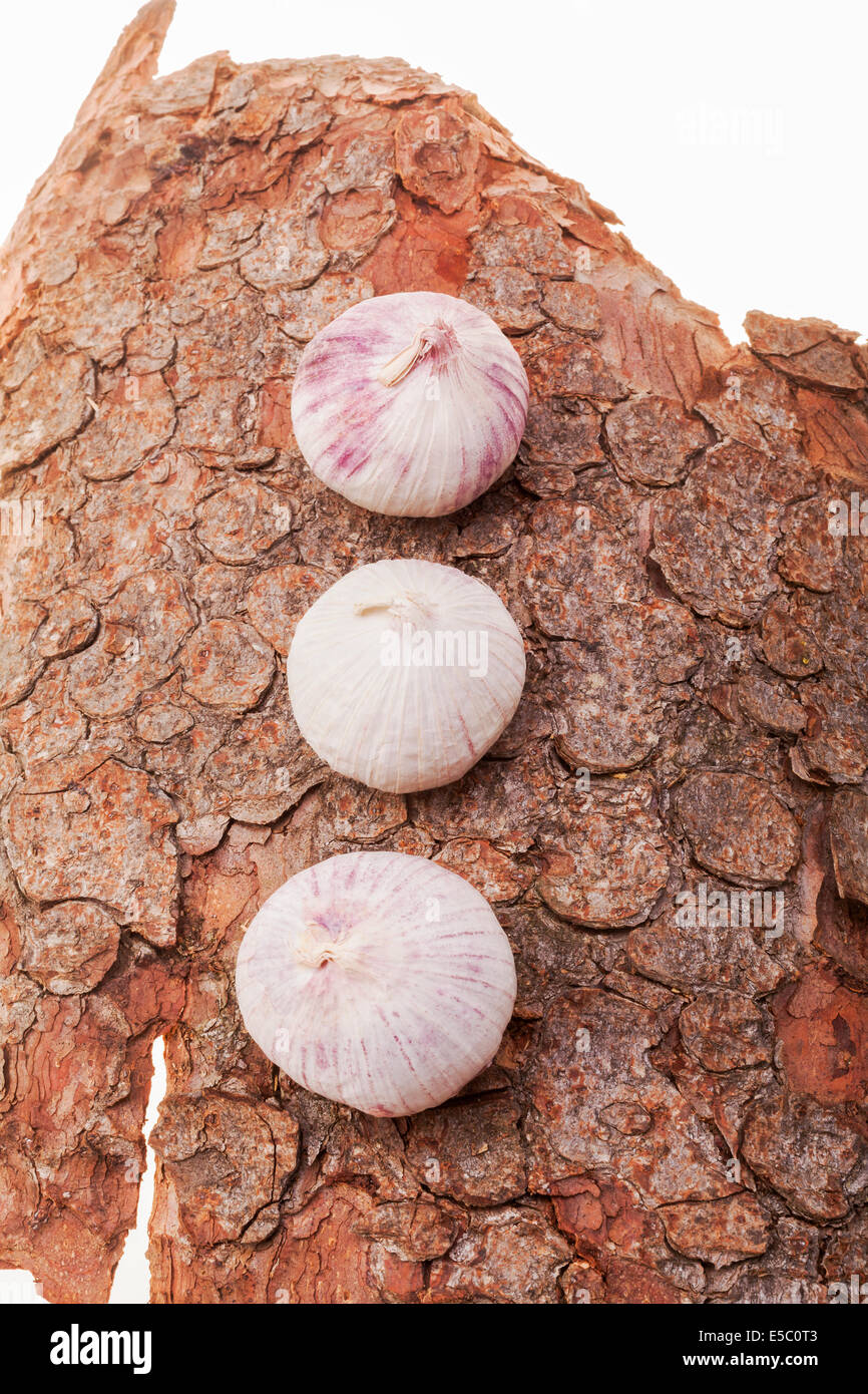 French Garlic Bulb Stock Photo Alamy