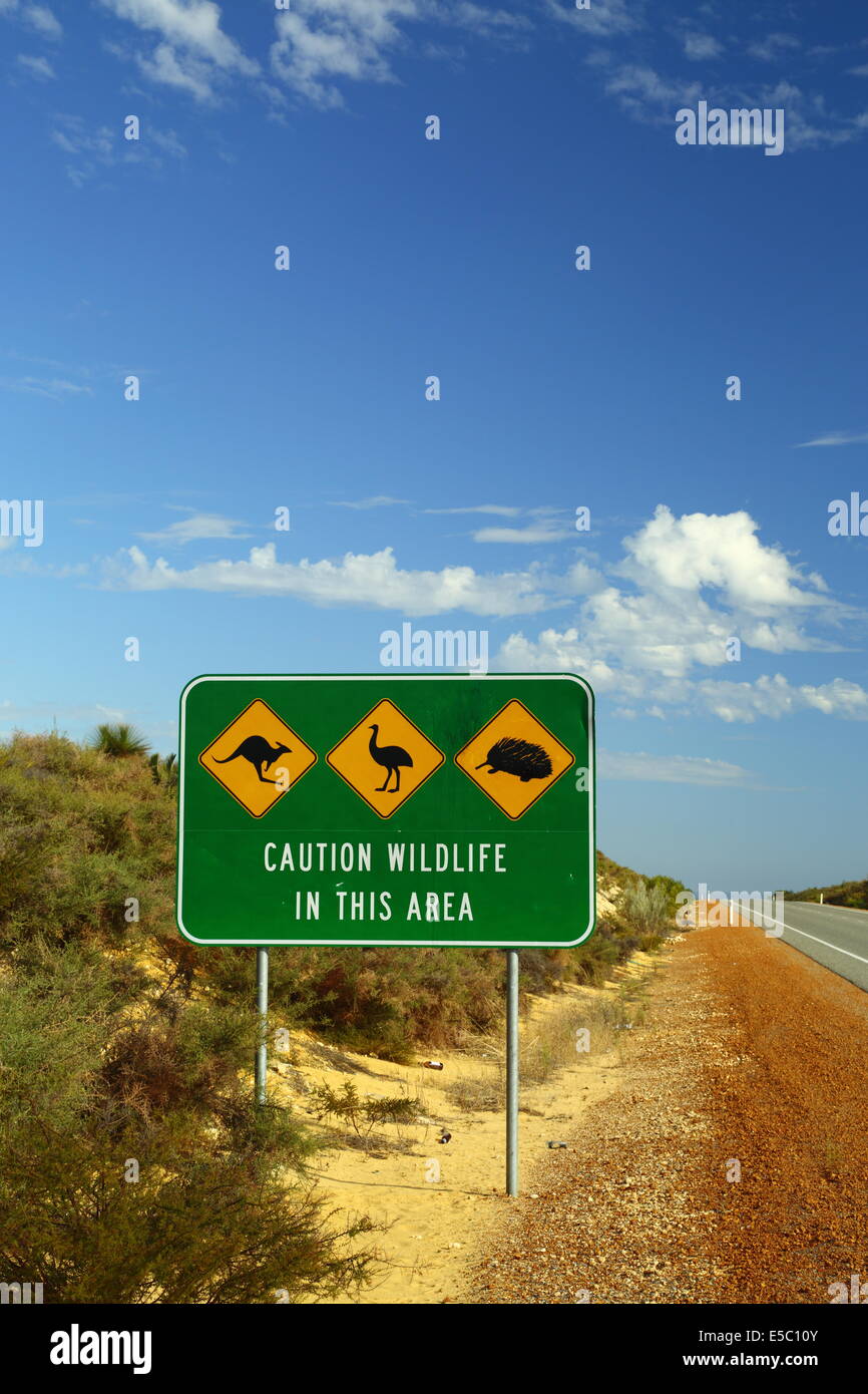 Wildlife warning signs along a highway in Western Australia - kangaroo, emu, echidna. Stock Photo