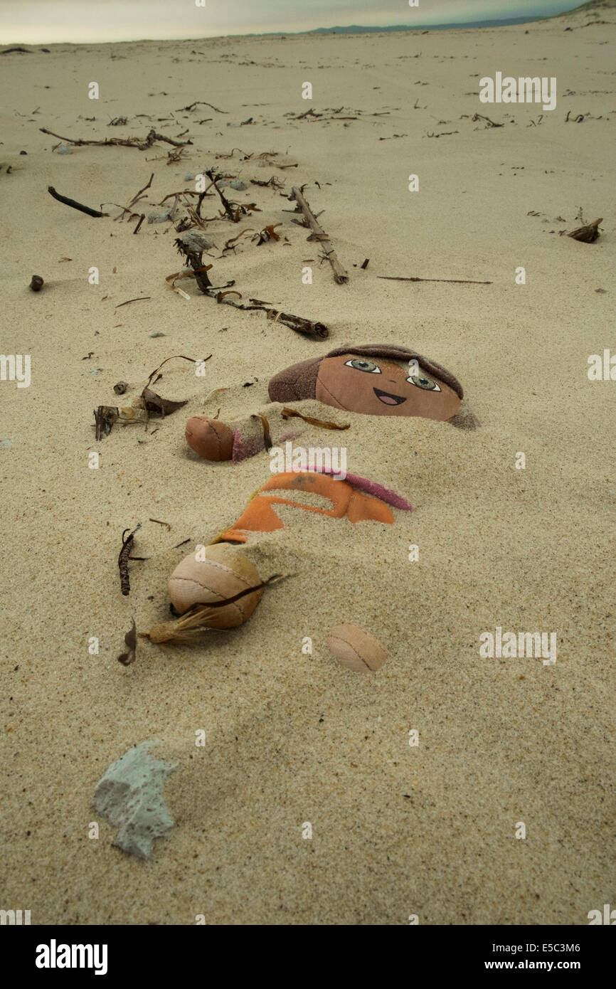 A discarded Dora the Explorer doll in the dunes, Eastern Beach, Moreton Island Stock Photo