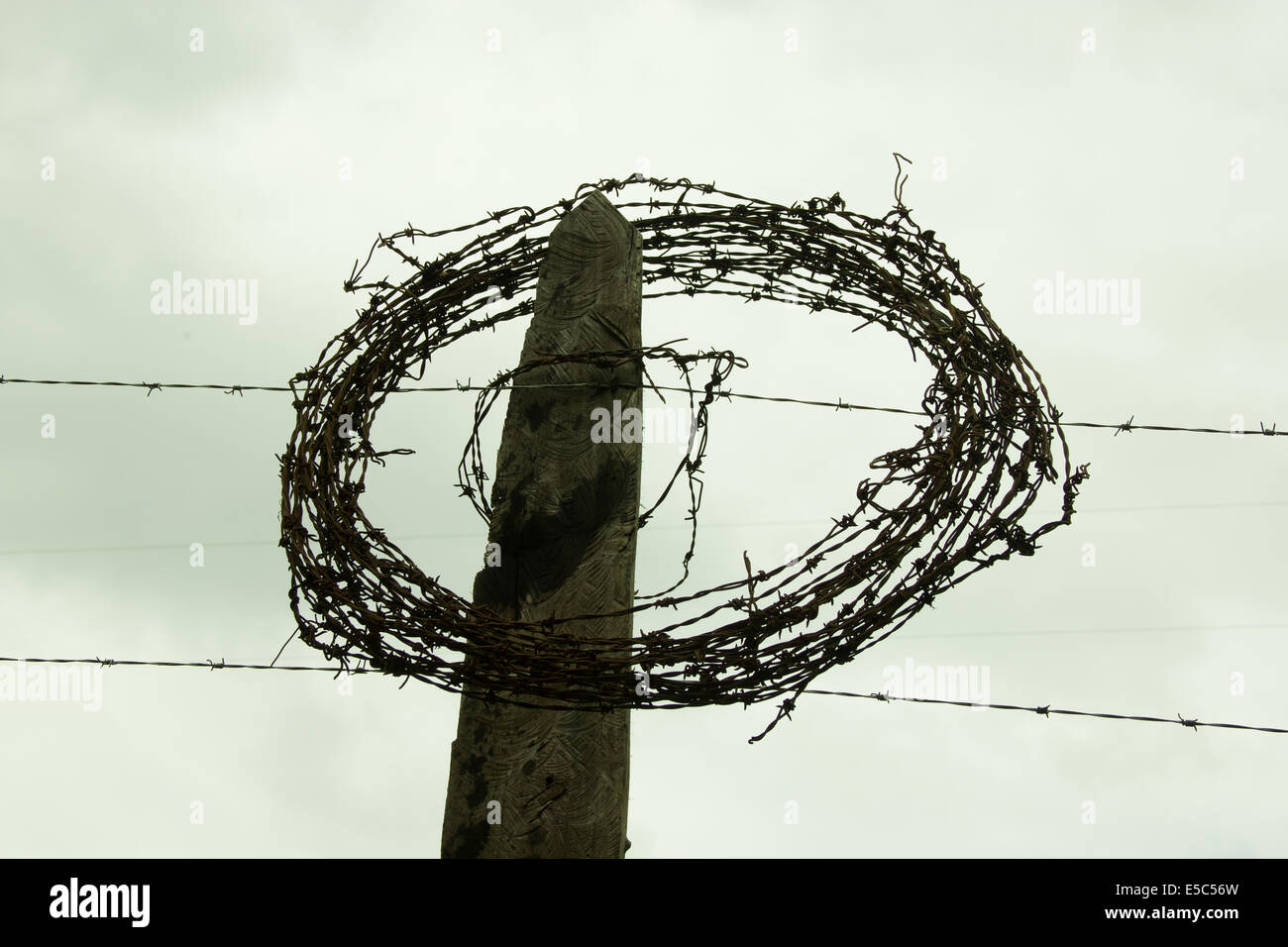 Rolled barbed wire on the top of a wood fence Stock Photo - Alamy