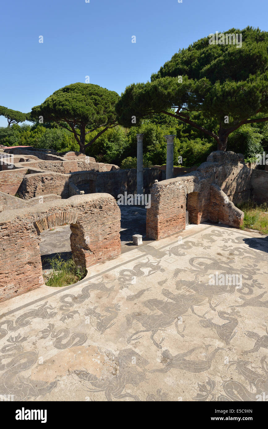 Mosaics in the Baths of Neptune Ostia Antica Rome Italy Stock Photo Alamy