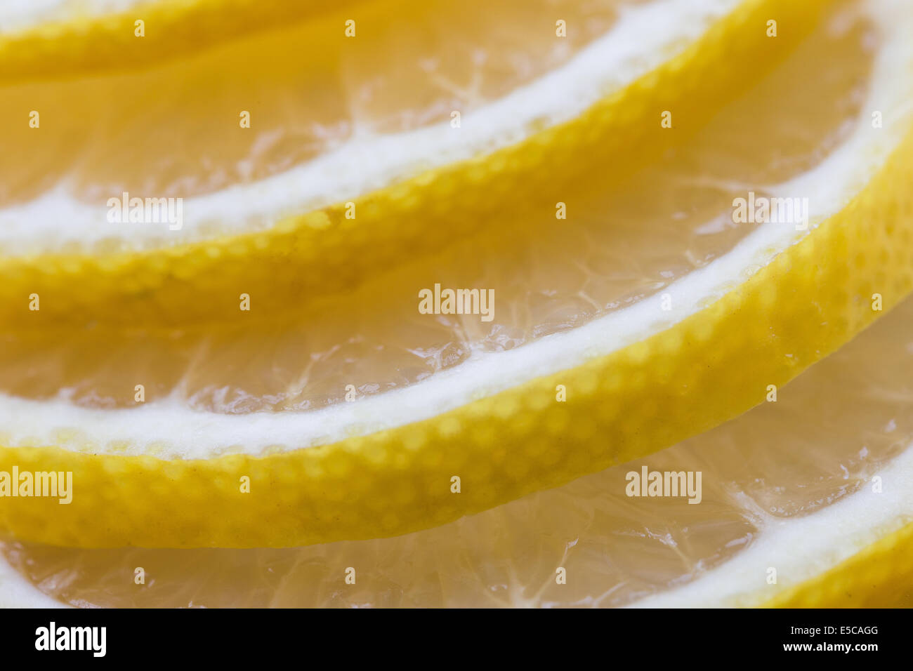 circle sliced fresh lemon in stratum form Stock Photo