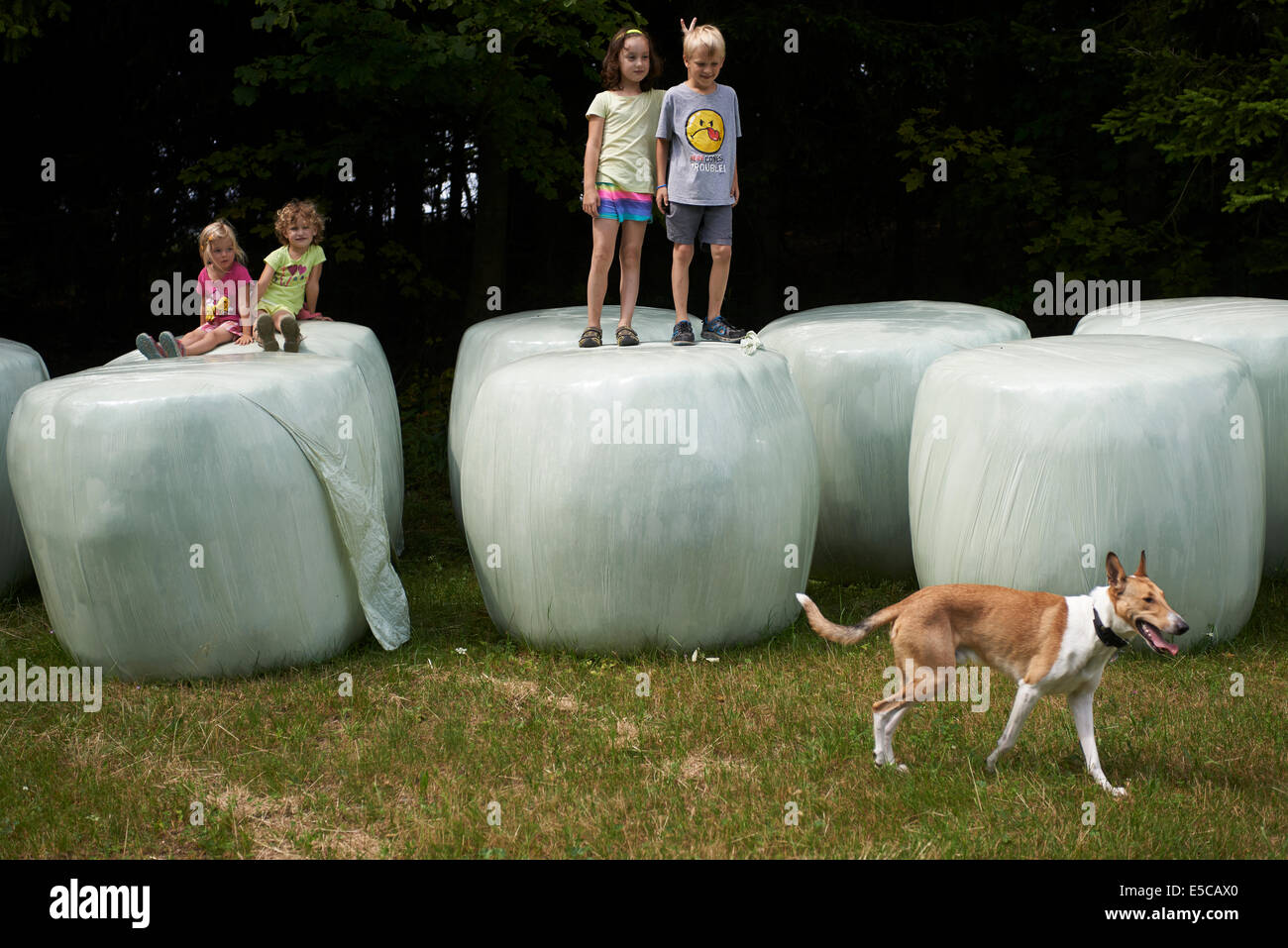 Group of children playing on bales of straw looks like giant teeth, summer time Stock Photo