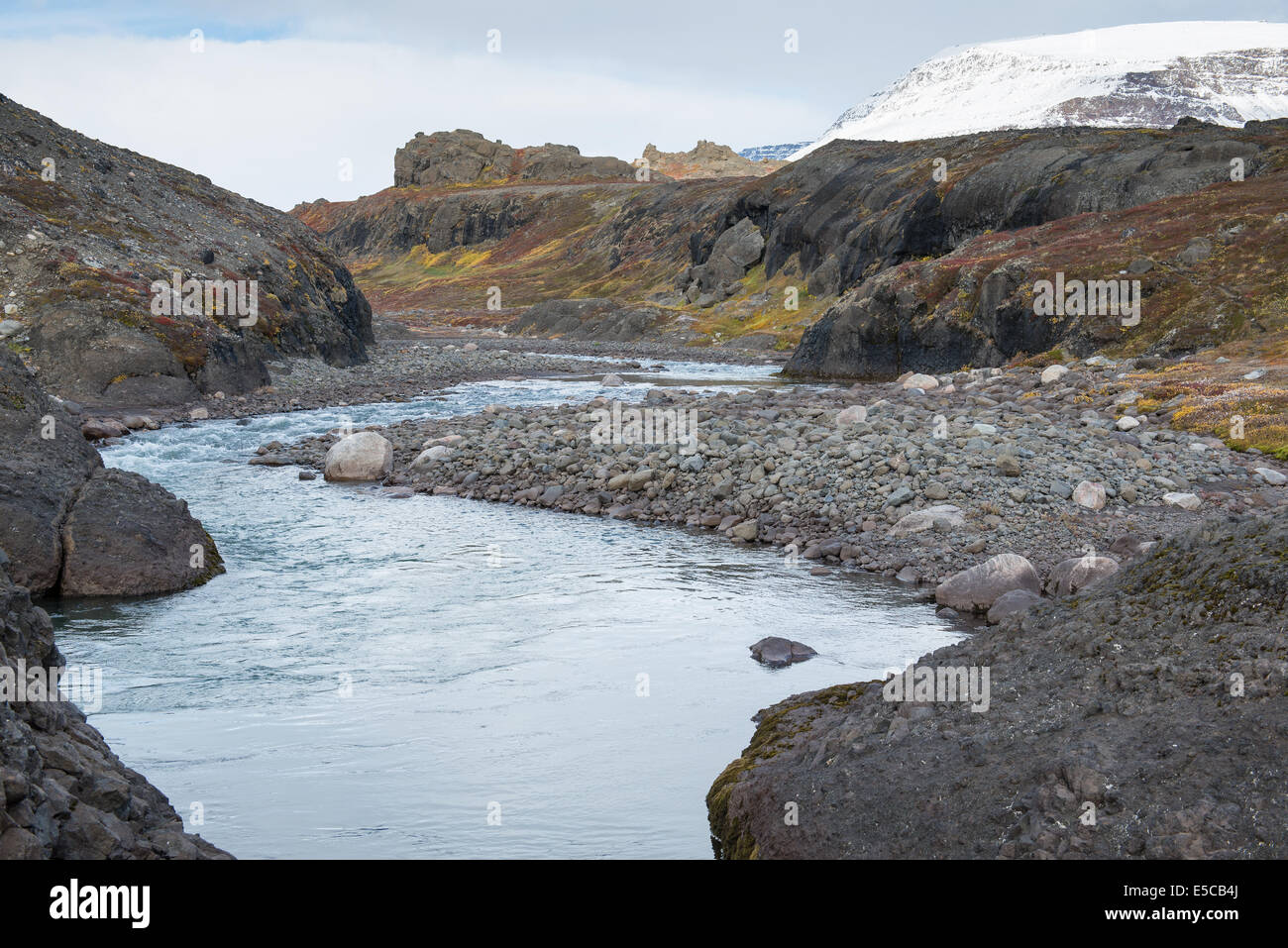 A river in the arctic during summer and autumn with colorful vegetation ...