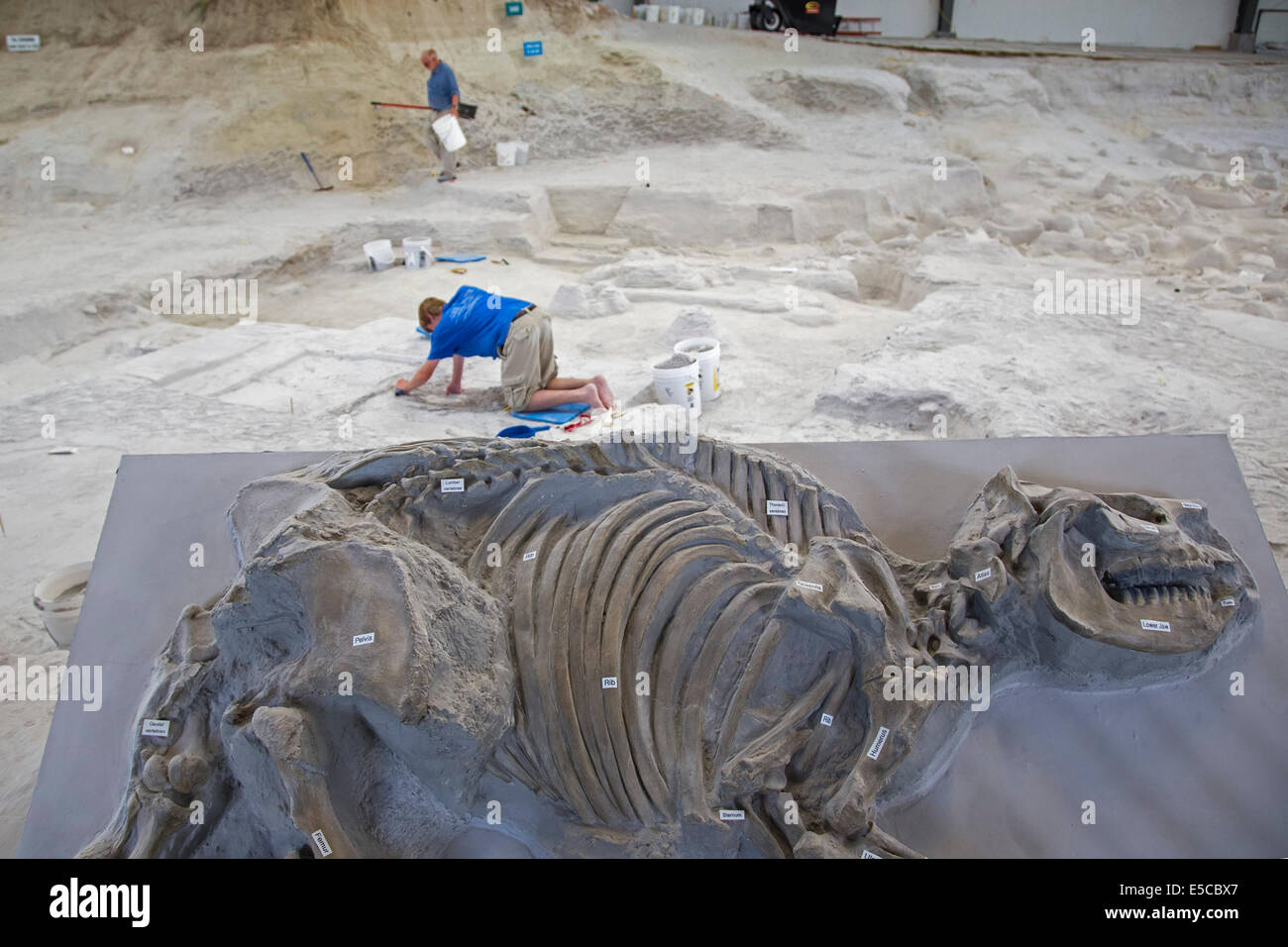 Ashfall Fossil Beds Stock Photo Alamy