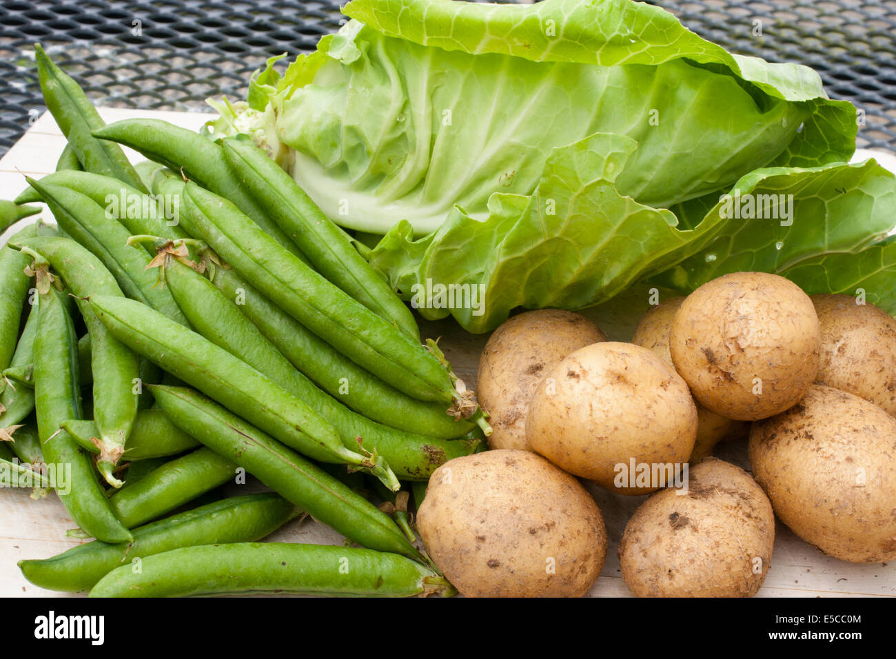 Fresh, allotment grown organic peas, potatoes and cabbage picked for the evening meal Stock Photo