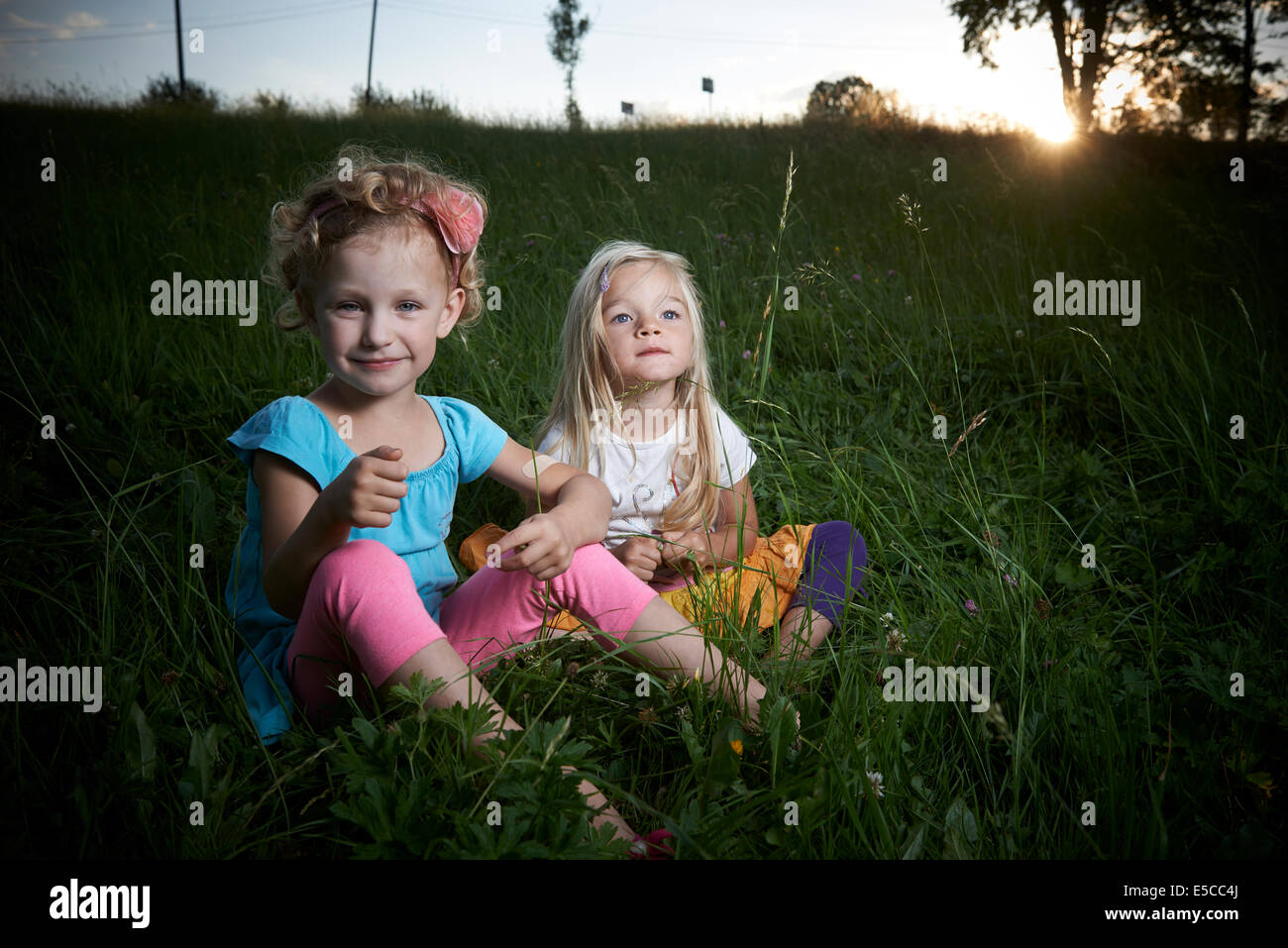Portrait of children blond two girls sisters sitting in grassy field summertime Stock Photo