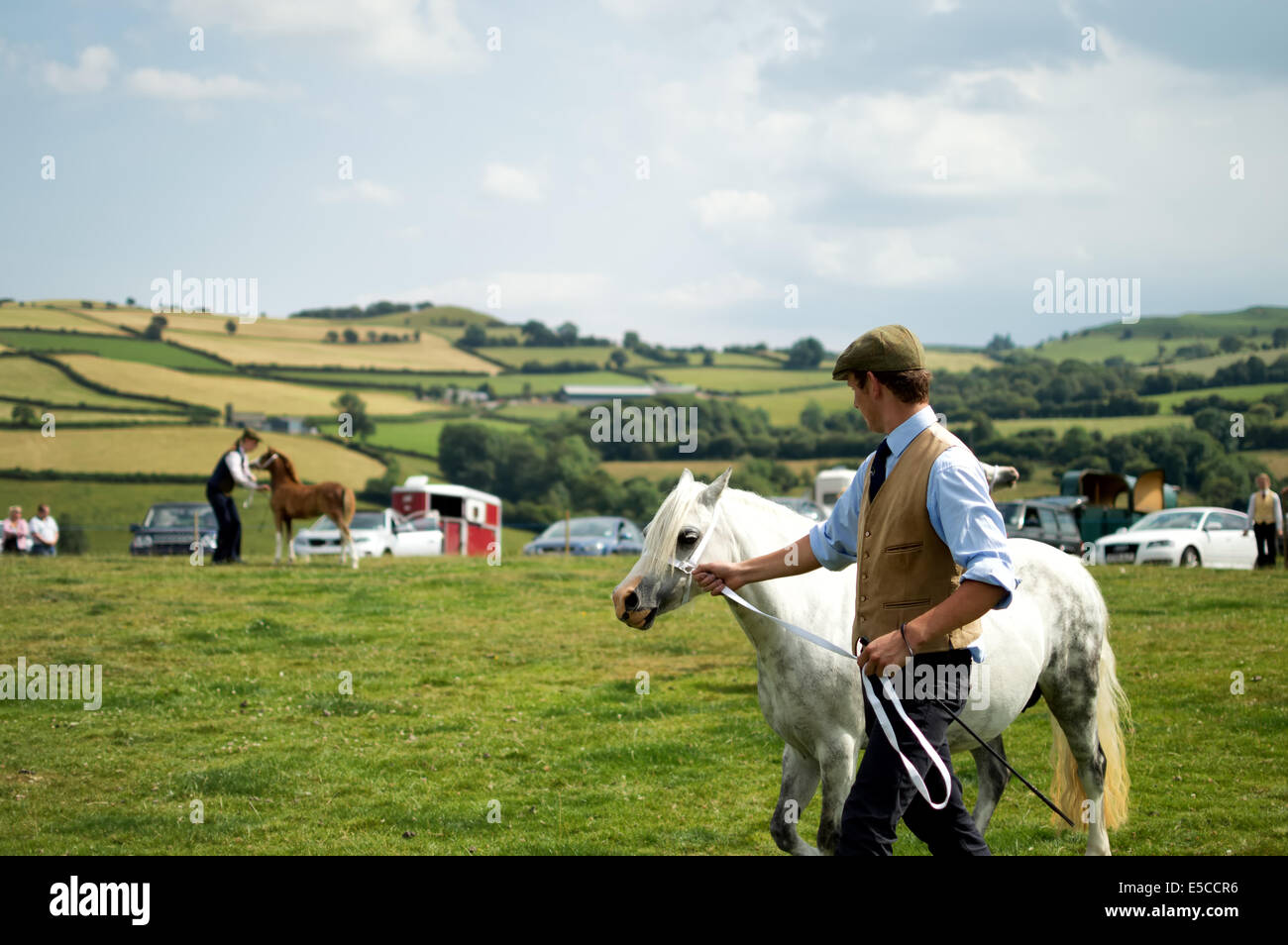 Horse Handler at Village Fair Stock Photo Alamy