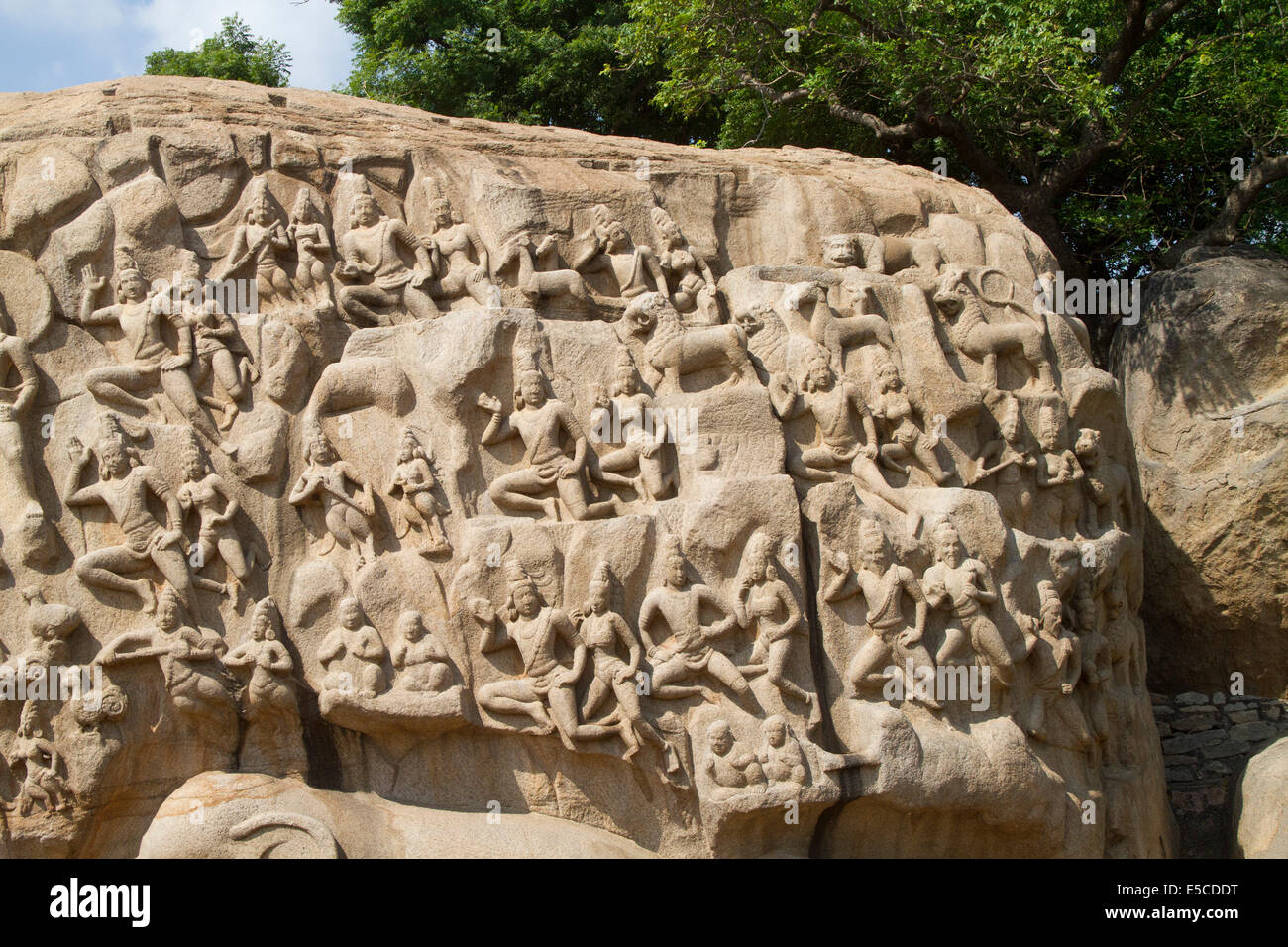 Closeup on the detail of the bas-relief carved from solid rock called Bhagiratha's Penance or the Descent of the Ganges telling Stock Photo