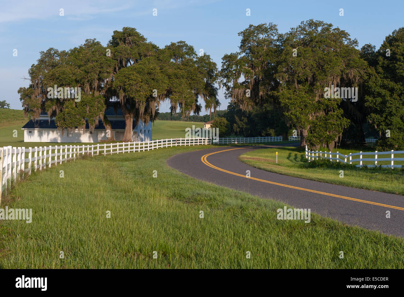 Ocala Florida USA Countryside Farmland Landscape Stock Photo