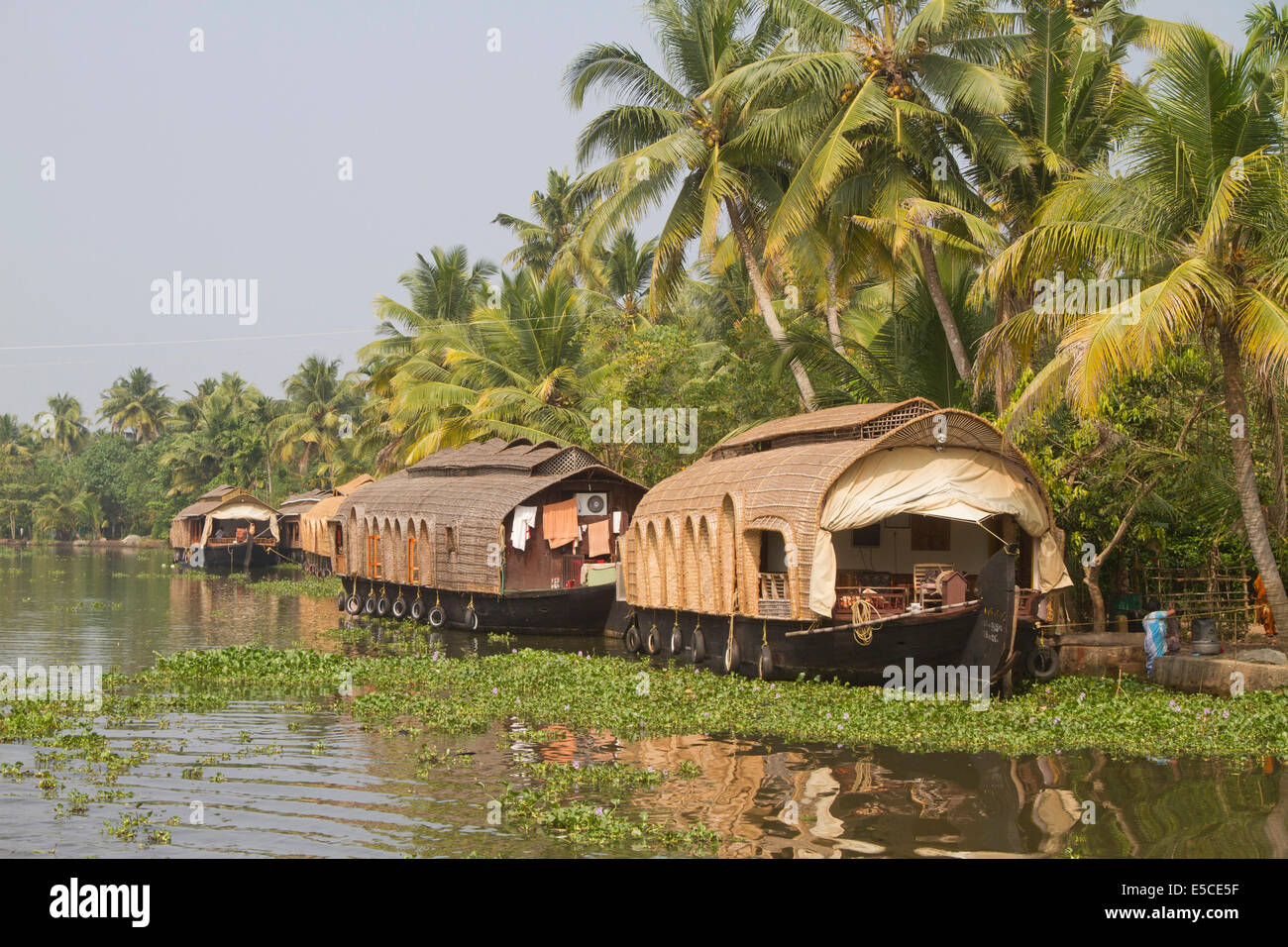 Docked Kettuvallams (rice barges) converted to  houseboats wait to take tourists to tour the Kerala Backwaters and lakes .Kerala Stock Photo