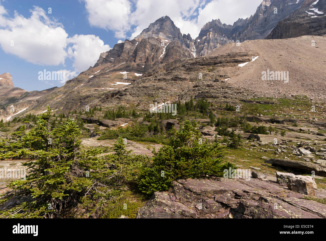 Yoho np yoho national park hi-res stock photography and images - Alamy
