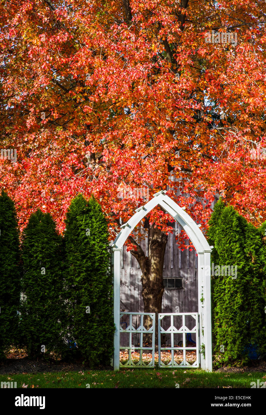 Gate and trellis hi-res stock photography and images - Alamy