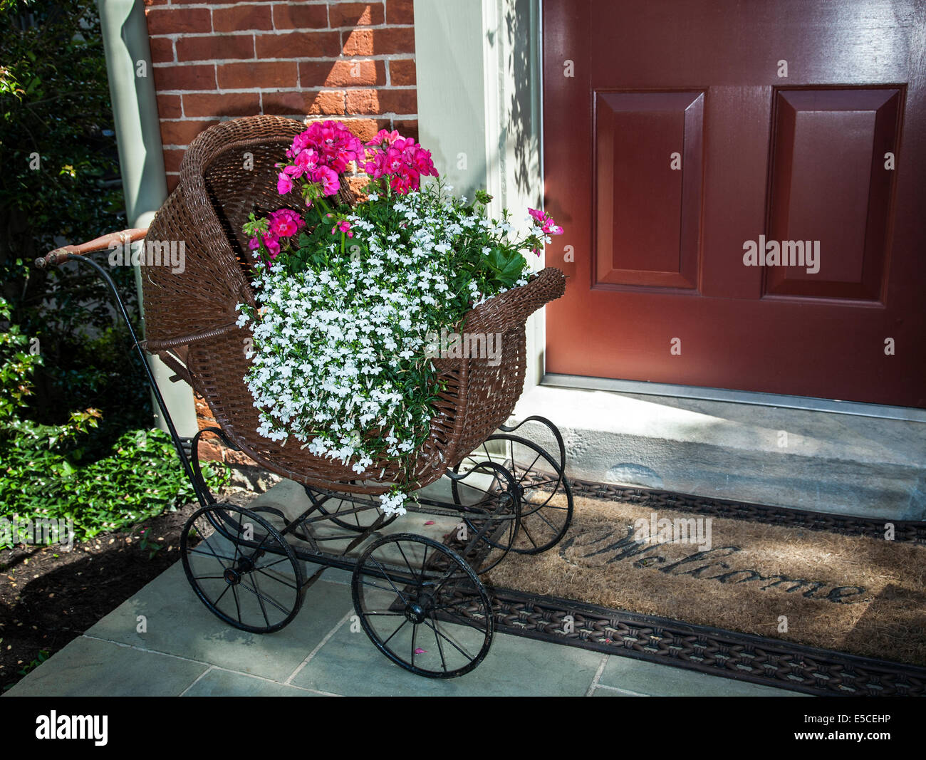 Antique images Victorian baby carriage planter with geranium  and Lobelia flowers at a house front door flowers, Lancaster County, Pennsylvania, USA, Stock Photo