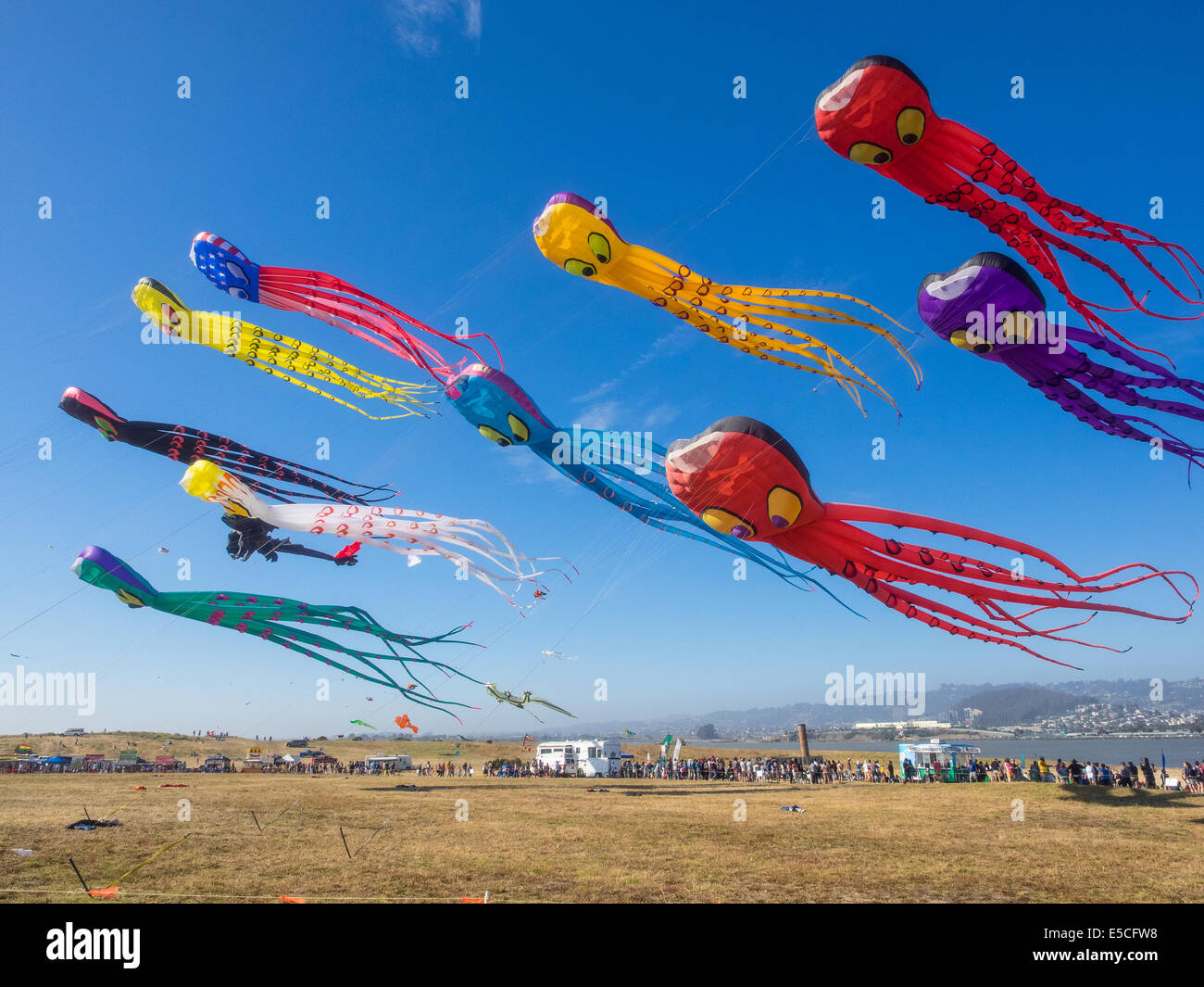 BERKELEY, CA/USA July 26 2014 Hundreds of kites of all sizes are